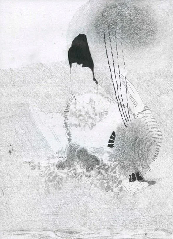 ohne Titel   Graphite auf Paper    21 cm x 29,7 cm   2024