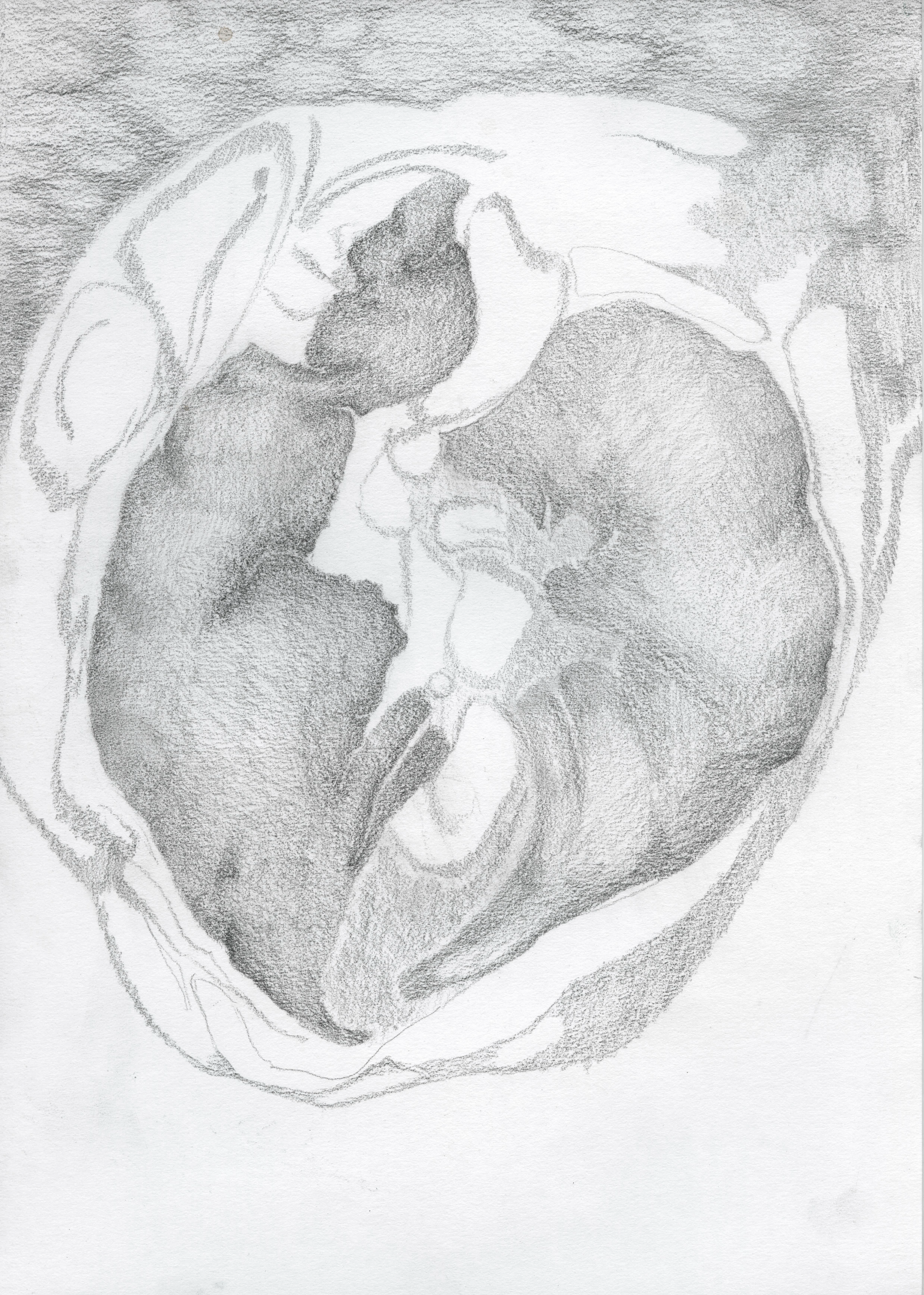 INNER WORLD   Graphit auf Papier   21 cm x 29,7 cm
