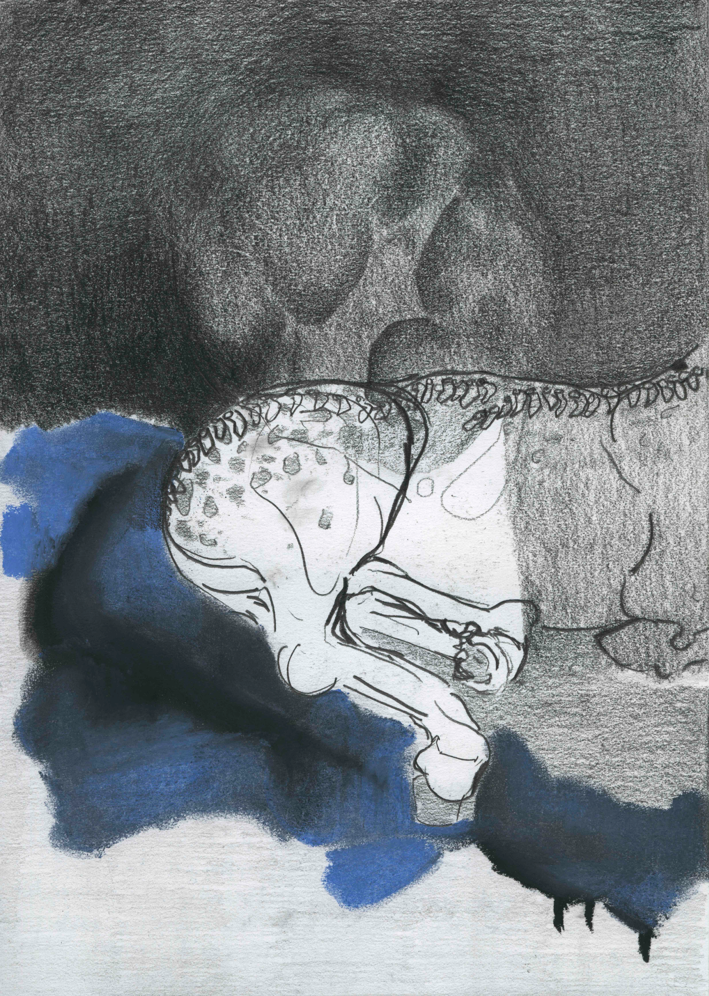 NIGHTMARE OF A BROKEN SPINE I   Kreide, Graphite auf Paper   21 cm x 29,7 cm   2024