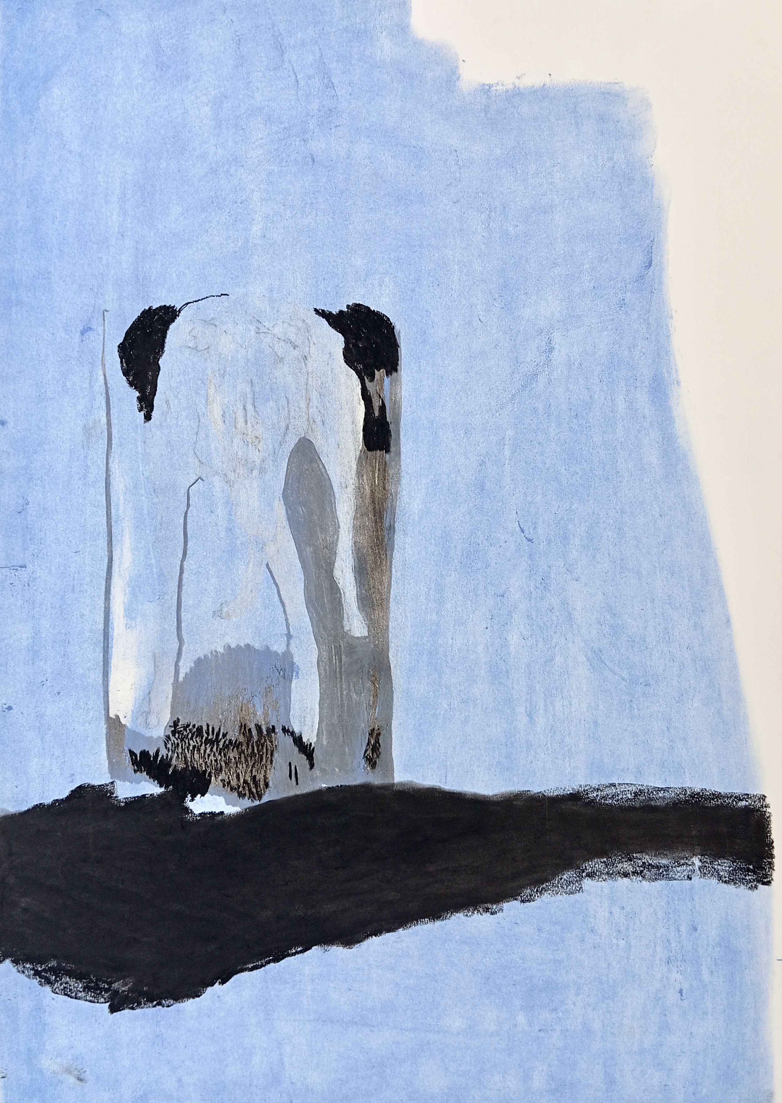 SCHATTEN   Kreide auf Papier   45 cm x 32 cm   2024