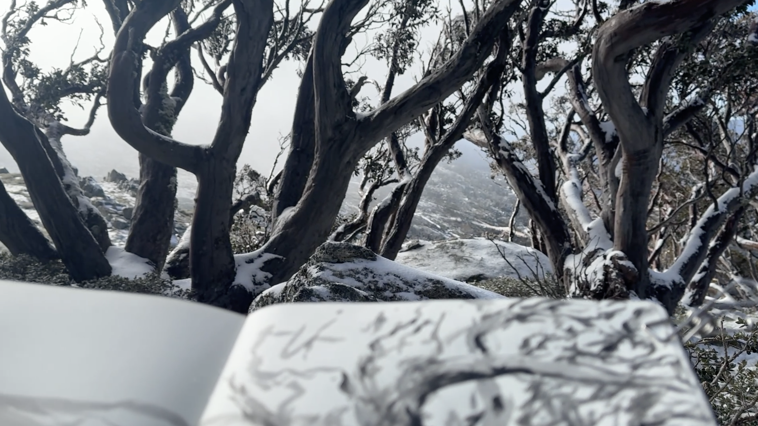 an annual alpine residency.