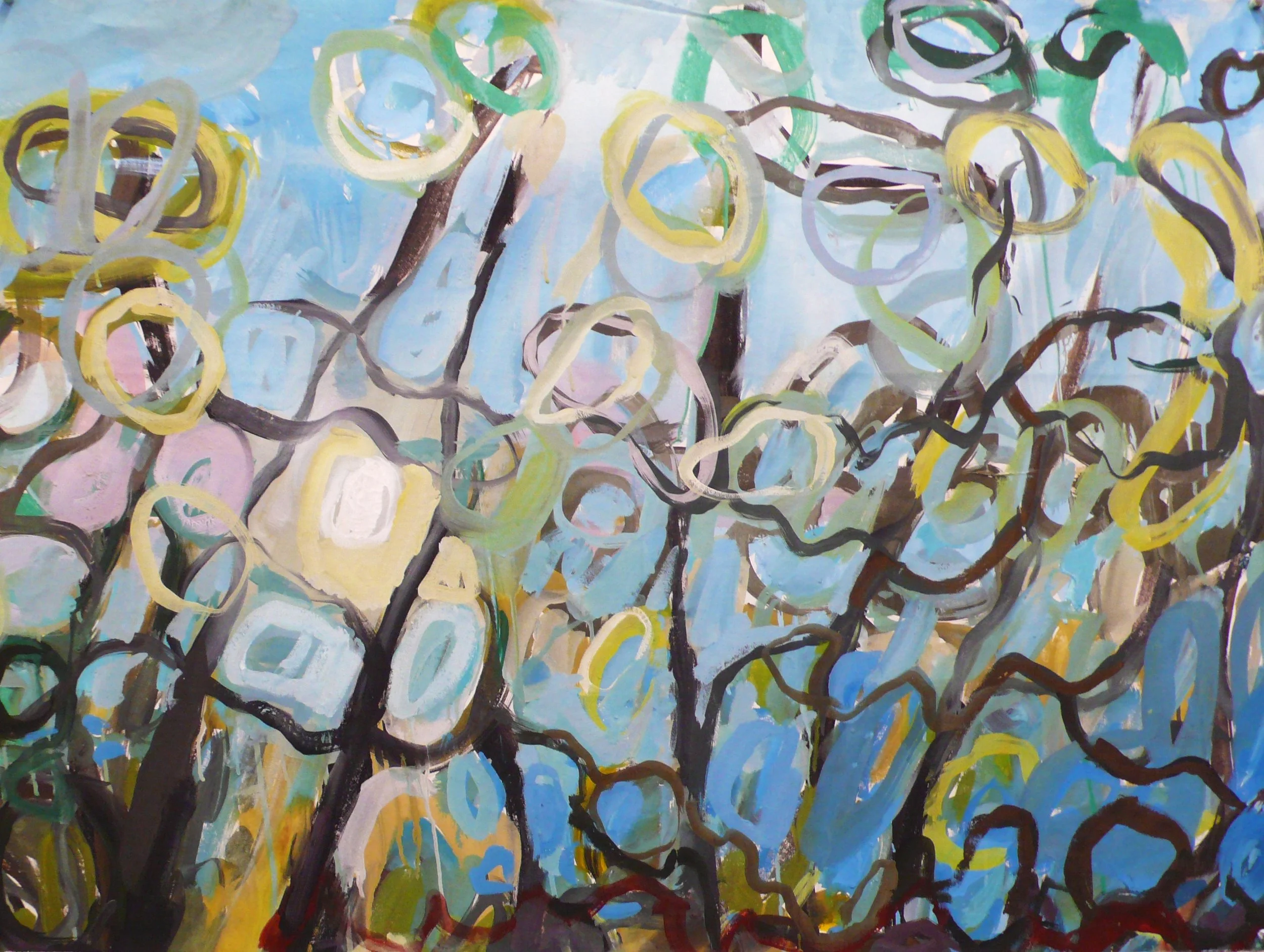 Port Jackson Walking Trees.jpg