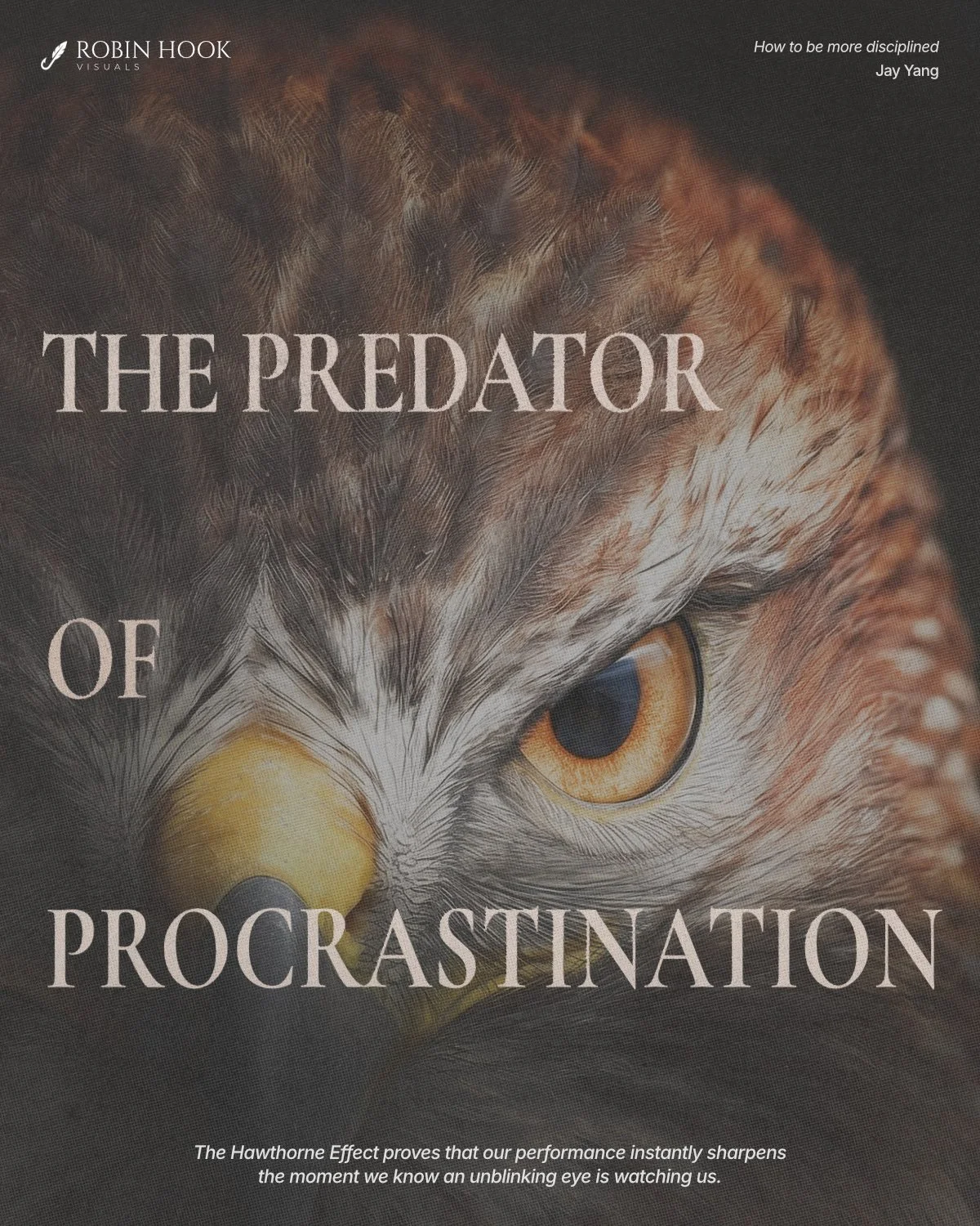 Eagle.jpg