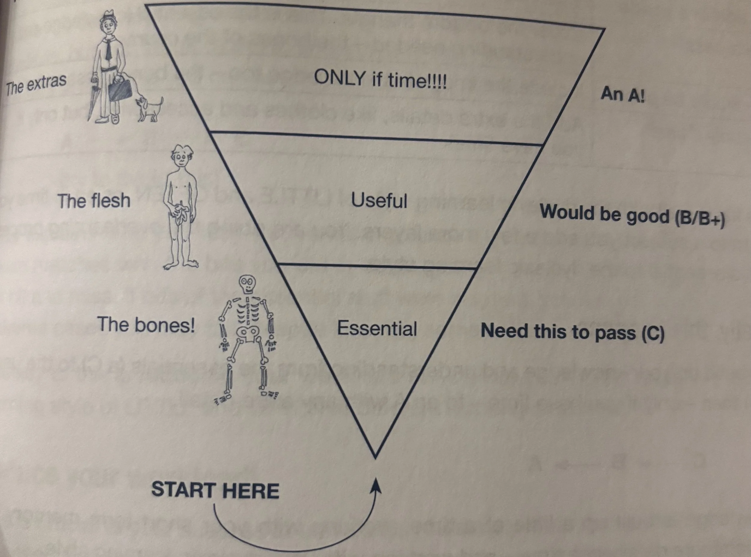 Study Triangle: Inverted pyramid for exam success. Base 'Bones' (skeleton=core concepts). Middle 'Flesh' (muscles=essential content). Top 'Clothes' (backpack/umbrella=exam polish).