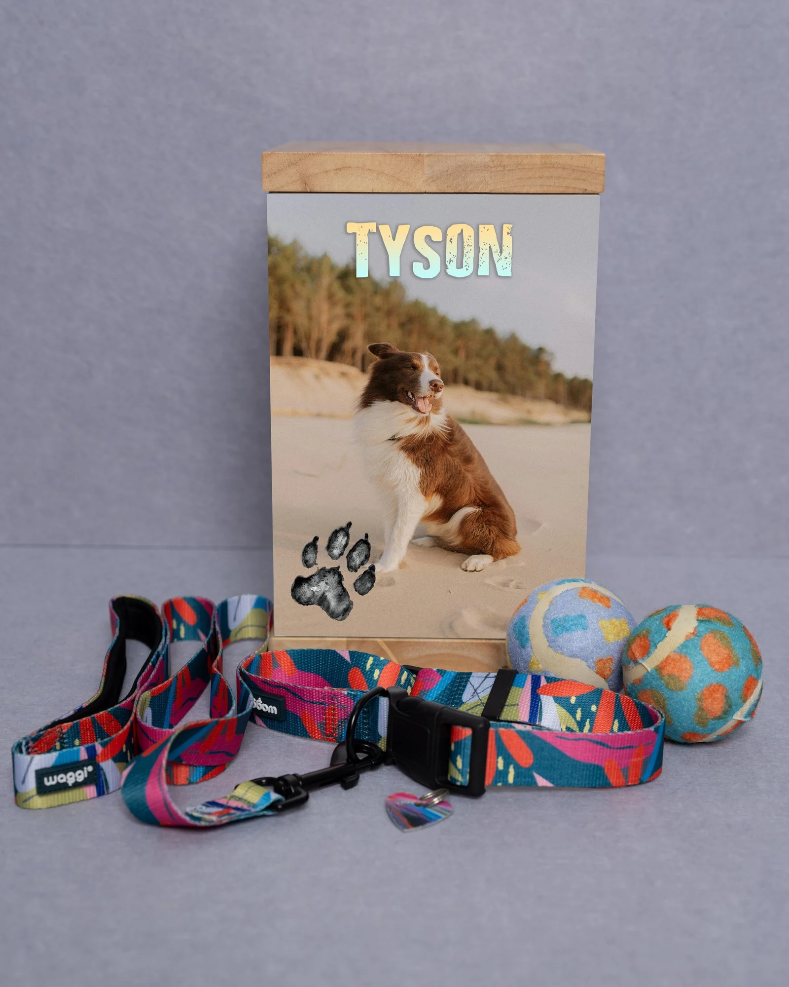 Dog toy box with a photo of a dog on the front, two colorful balls, a colorful leash, a harness, and a heart-shaped tag on a gray background.