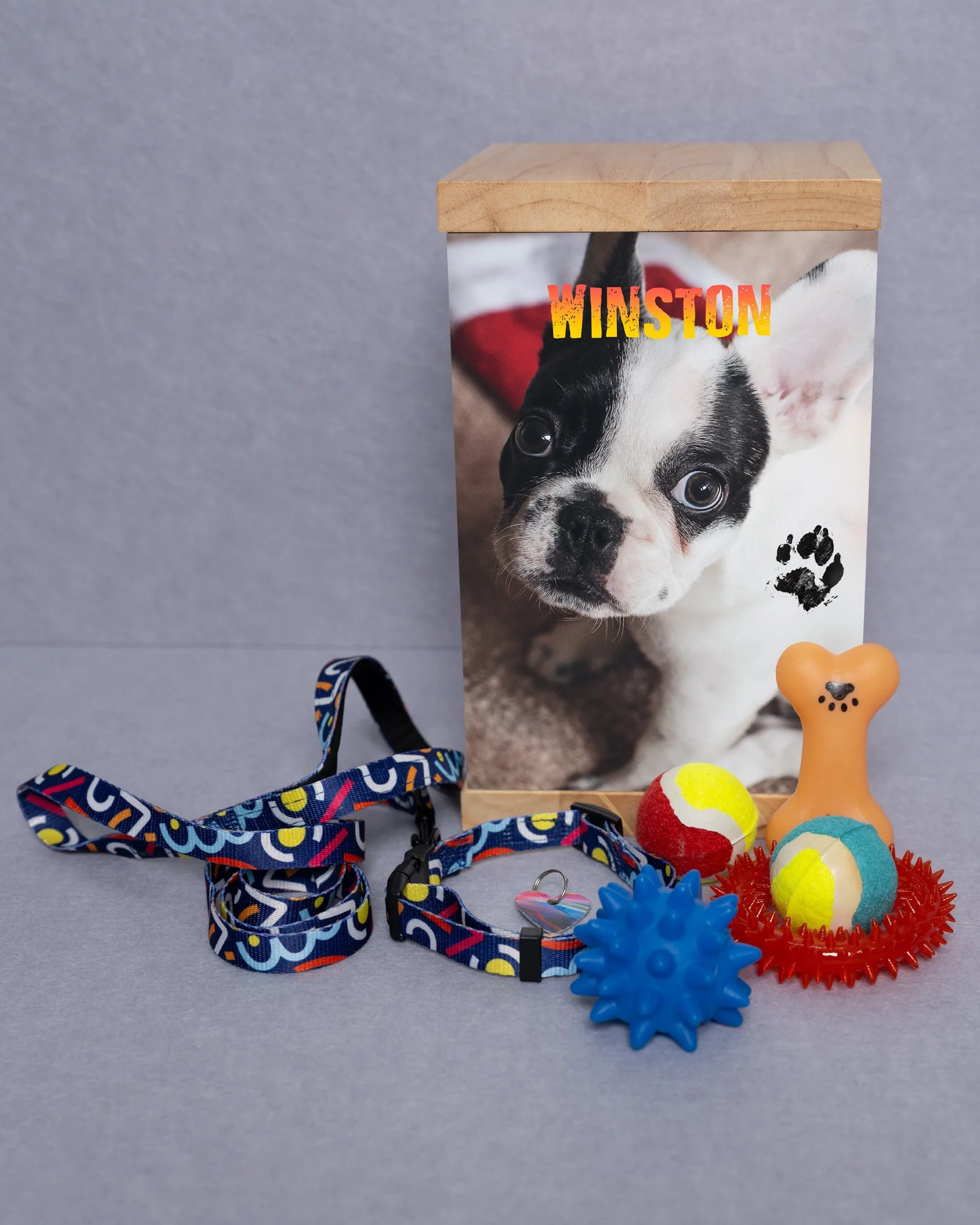Dog-themed collection with a photo box featuring a puppy, dog collar, and various dog toys.