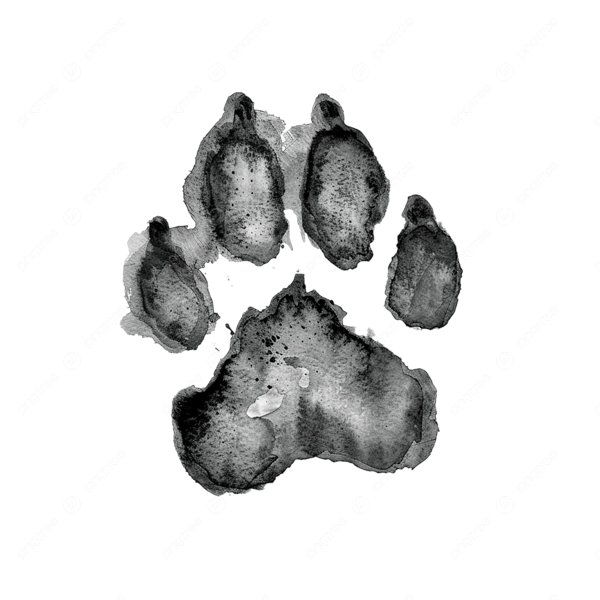 Dog ink paw print from crematorium. Given to families as a keepsake, we can incorporate this paw print into our photo pet cremation urns.