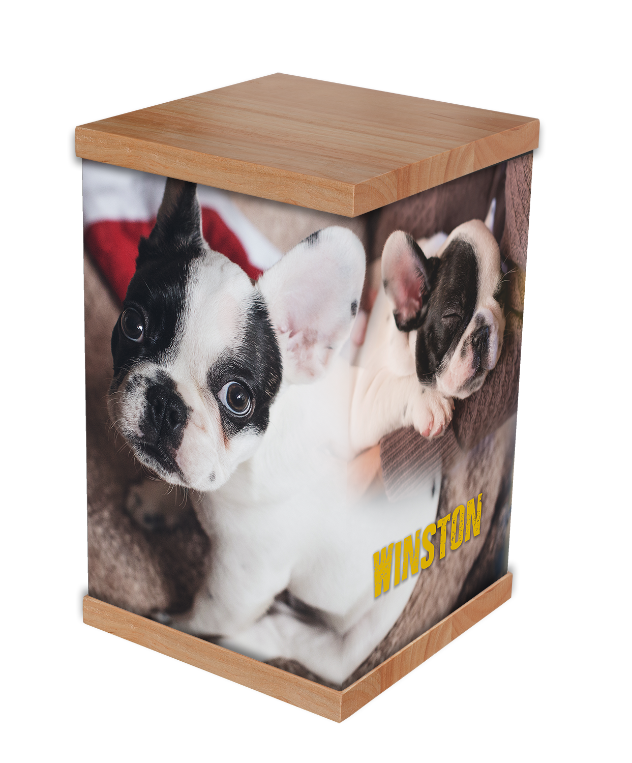 The Rapt in Rainbows Difference: A Unique, Lasting Pet Photo Keepsake In a market often saturated with confusing options, Rapt in Rainbows is committed to simplifying the memorial process with unparalleled focus on quality and personalisation.