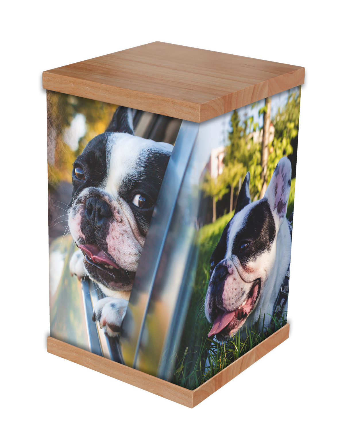 The Rapt in Rainbows Difference: A Unique, Lasting Pet Photo Keepsake In a market often saturated with confusing options, Rapt in Rainbows is committed to simplifying the memorial process with unparalleled focus on quality and personalisation.