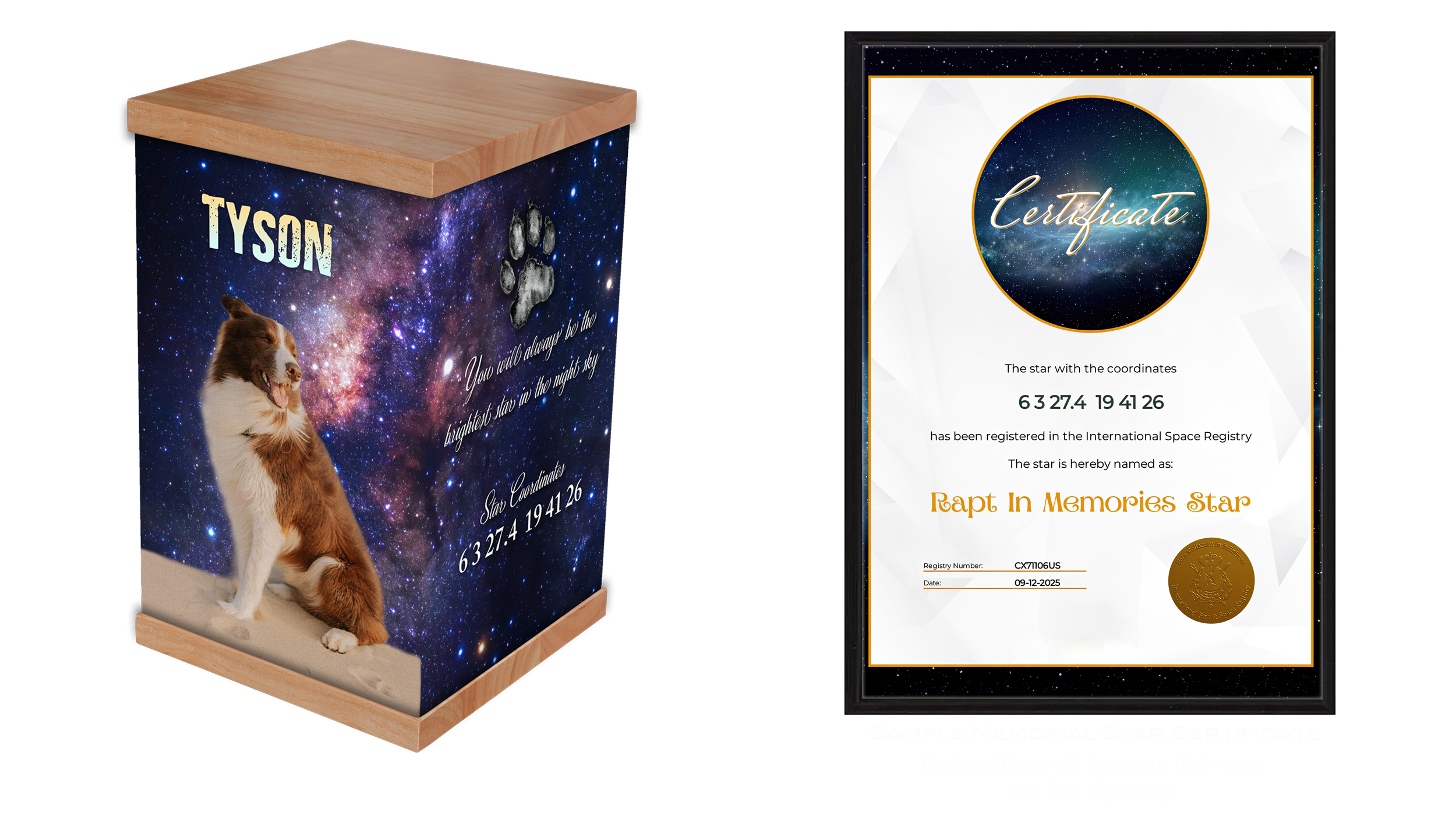 This sentiment is the heart of our Memorial Star Urn, a tribute designed to ensure your pet's memory never fades.