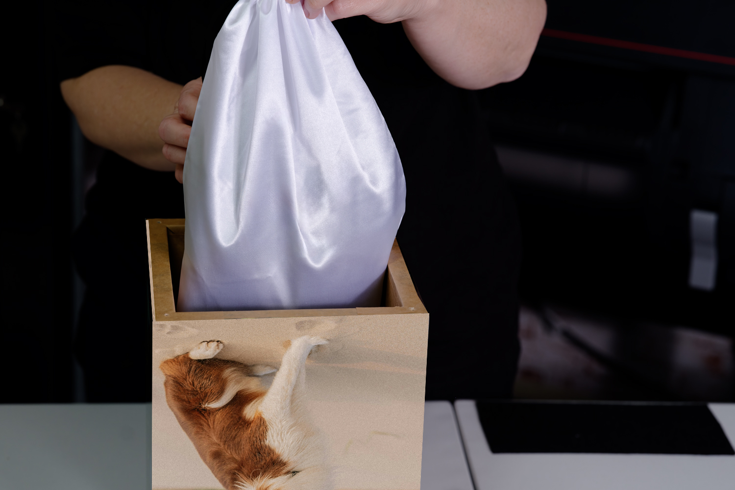 A white satin bag with a pink butterfly logo and the words "RAPT IN MEMORIES" is being removed from a decorative box with a butterfly and waterfall scene.