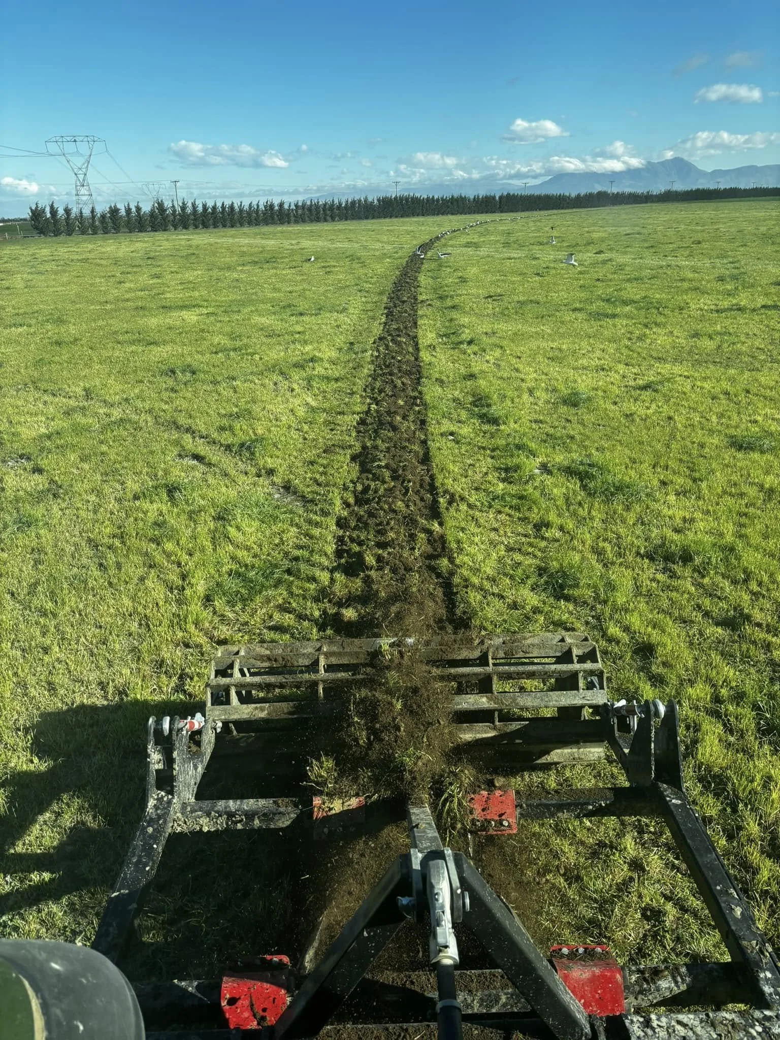 Farm track ruts maintenance Mid Canterbury green paddock