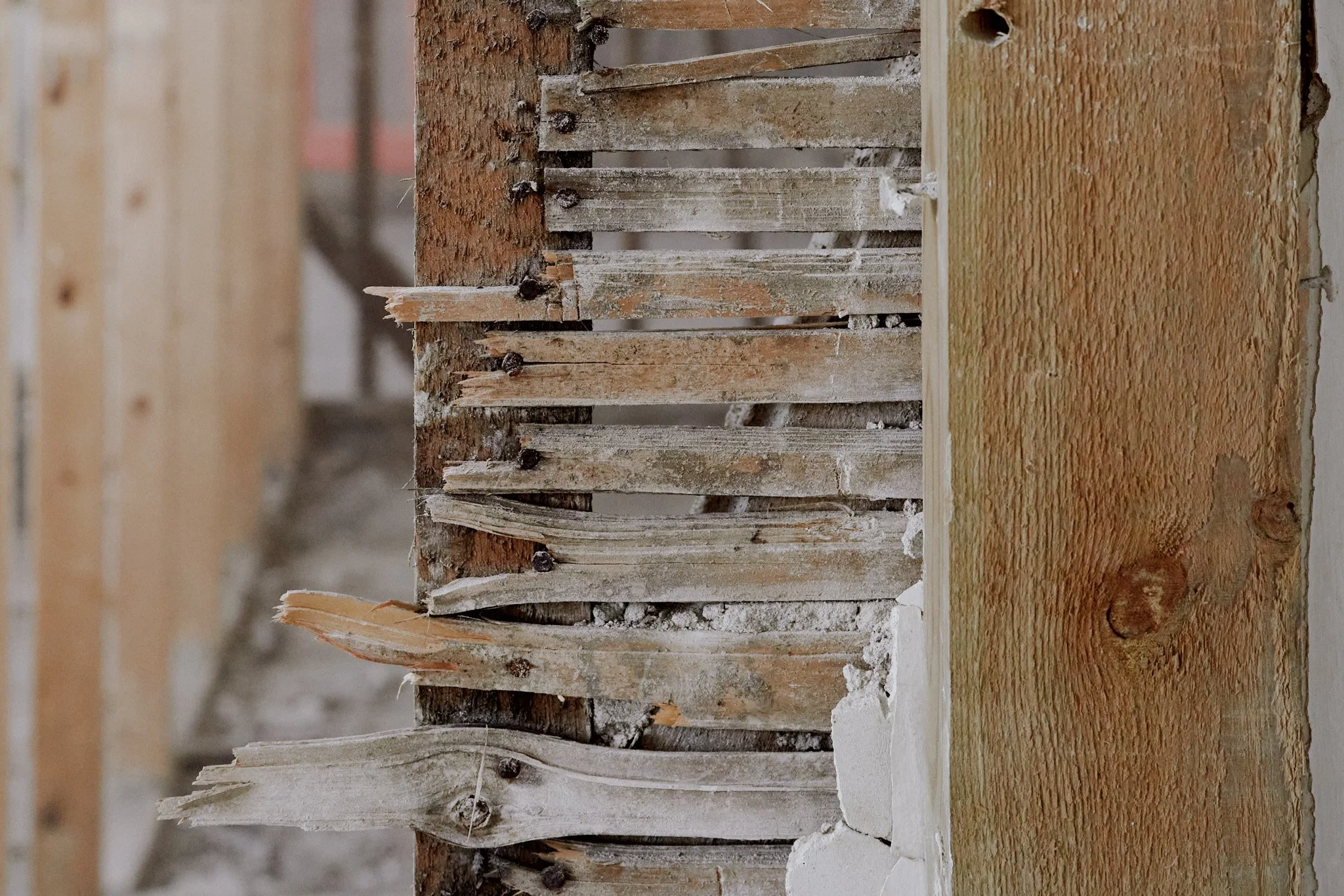 Original lath and plaster, The Old Art School, Falmouth - Heritage renovation | Berryman Construction