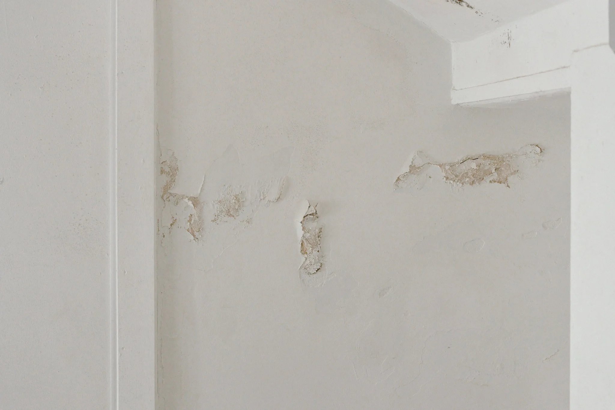 Ongoing works, The Old Art School, Falmouth - Heritage renovation | Berryman Construction
