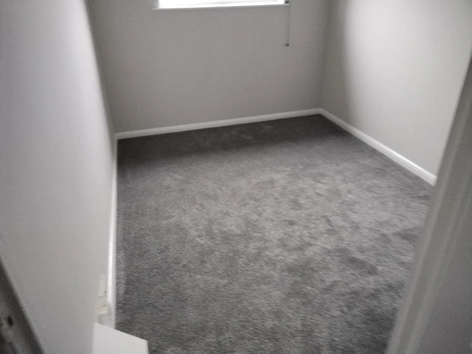 Empty walk-in closet with light gray walls and dark gray carpeted floor.