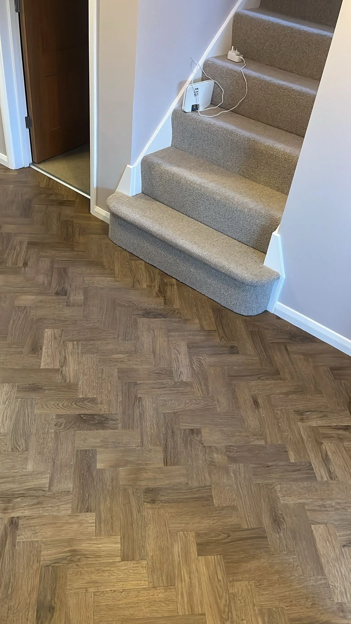Interior view of a staircase with beige carpeted steps, a white wall, a power strip with cords near the stairs, and hardwood flooring.