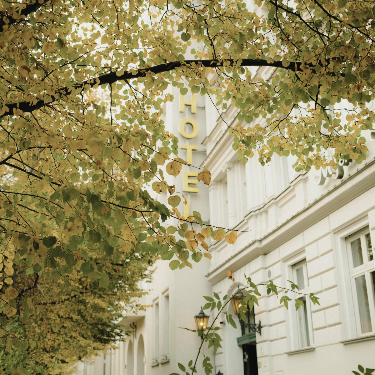 Tree with yellowing leaves partially obscuring a white building with a yellow sign that reads "HOTEL."