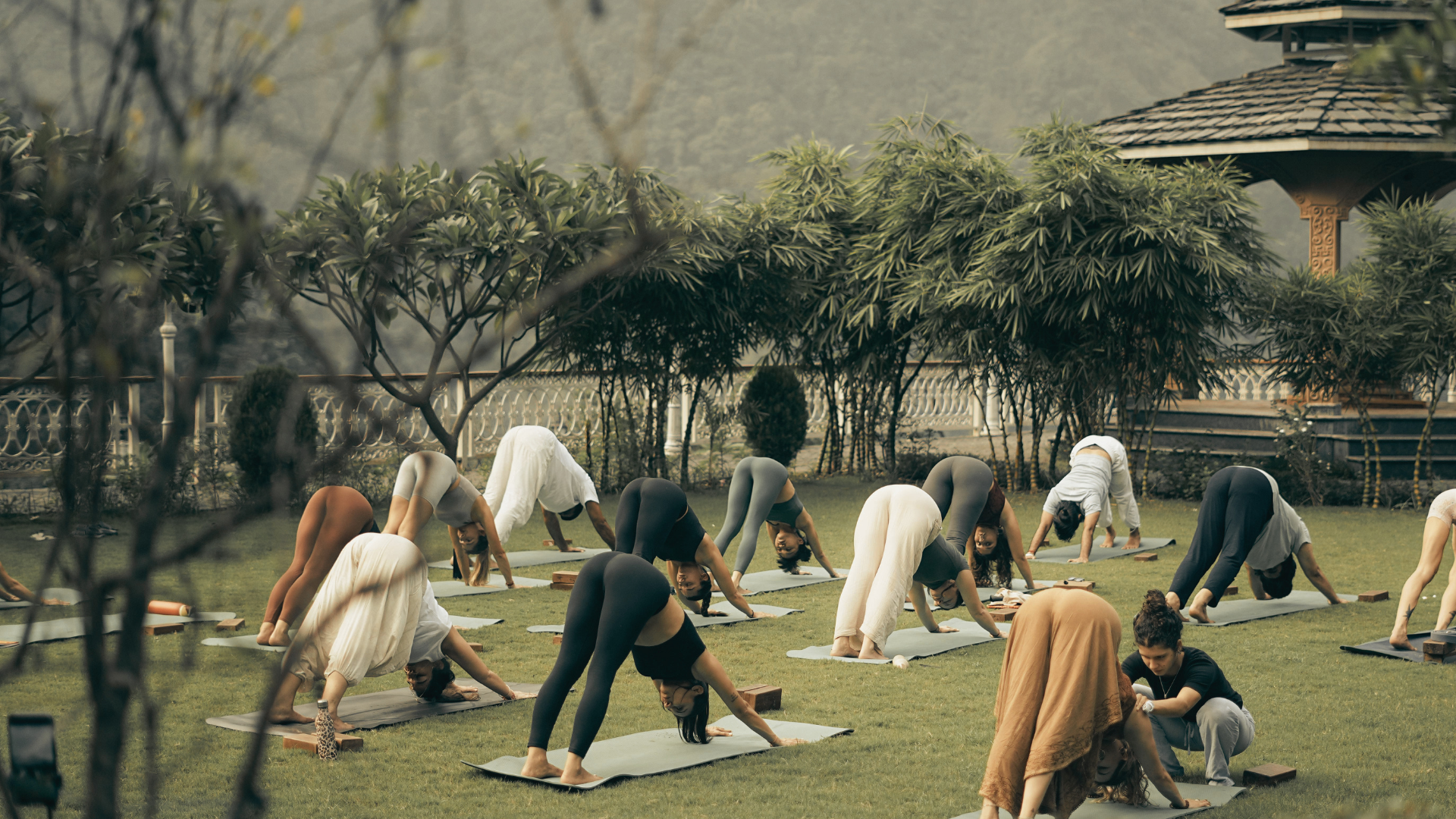 A group of women practicing yoga outdoors on mats in a park with trees and a pavilion in the background.