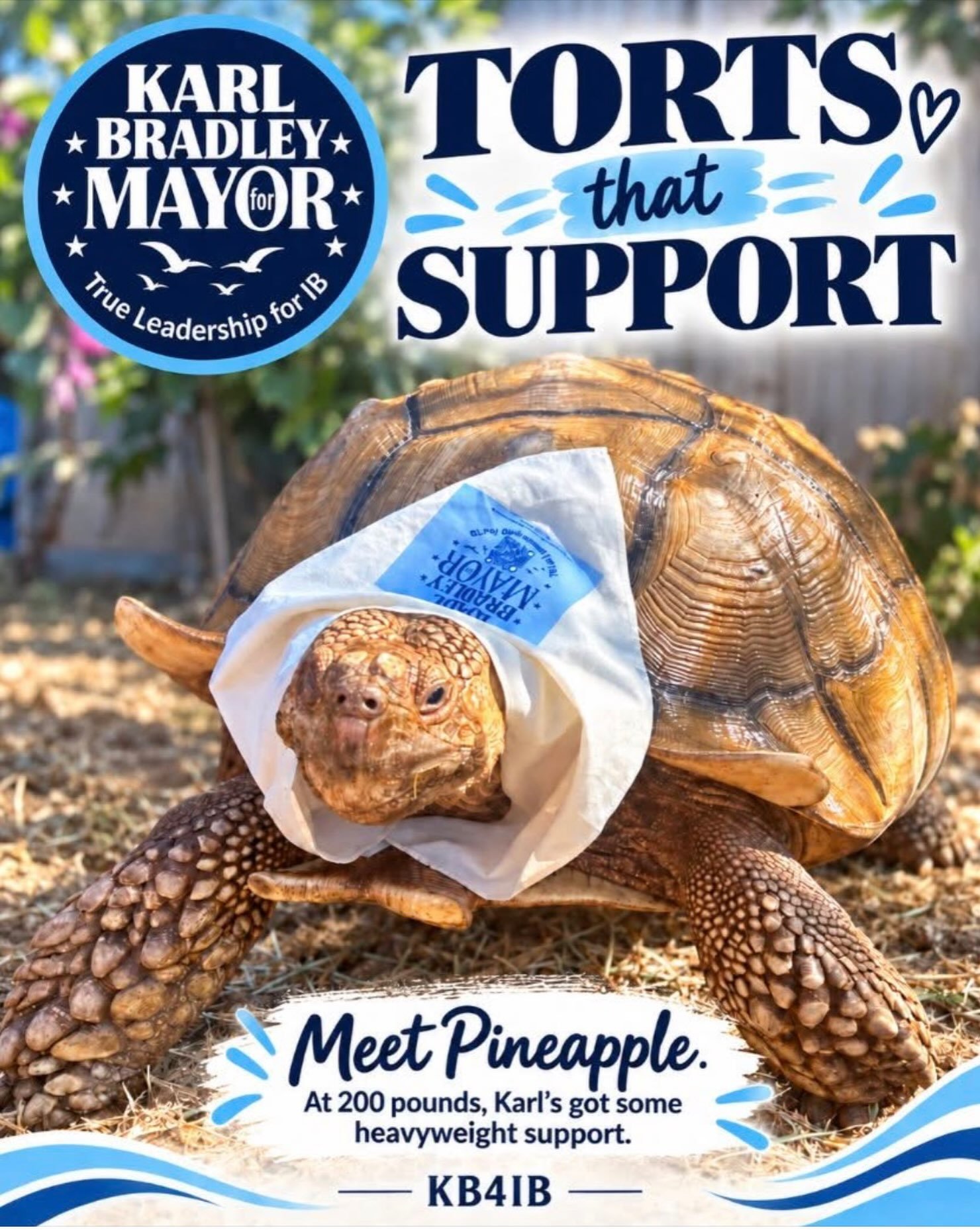 Meet Pineapple: 200 pounds of shell, swagger, and support for Karl. 🐢💙

#imperialbeachdemocrats #imperialbeachwater #kb4ib #karlbradleyformayor #kb_4ib