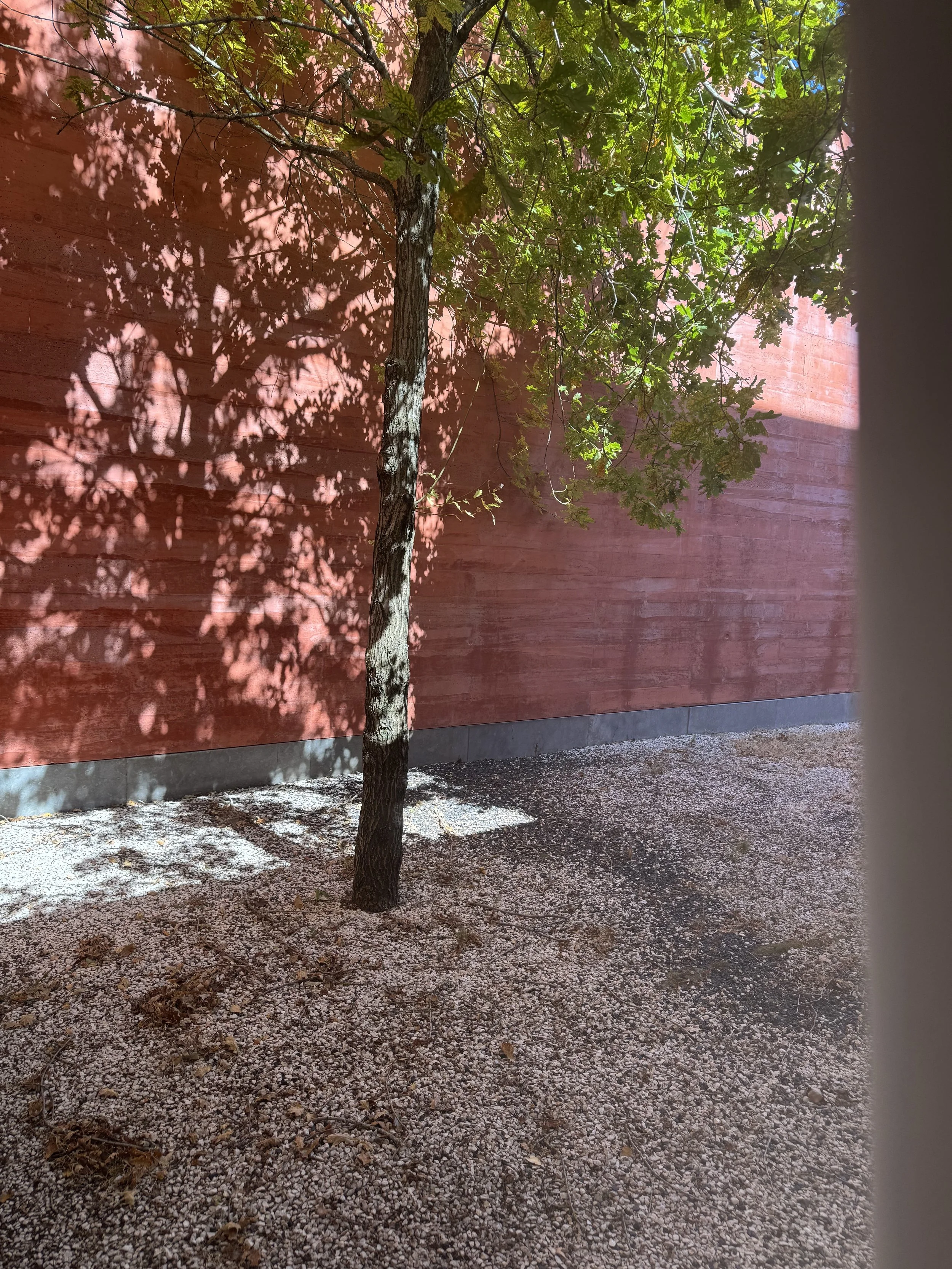 IMG_4811.jpeg