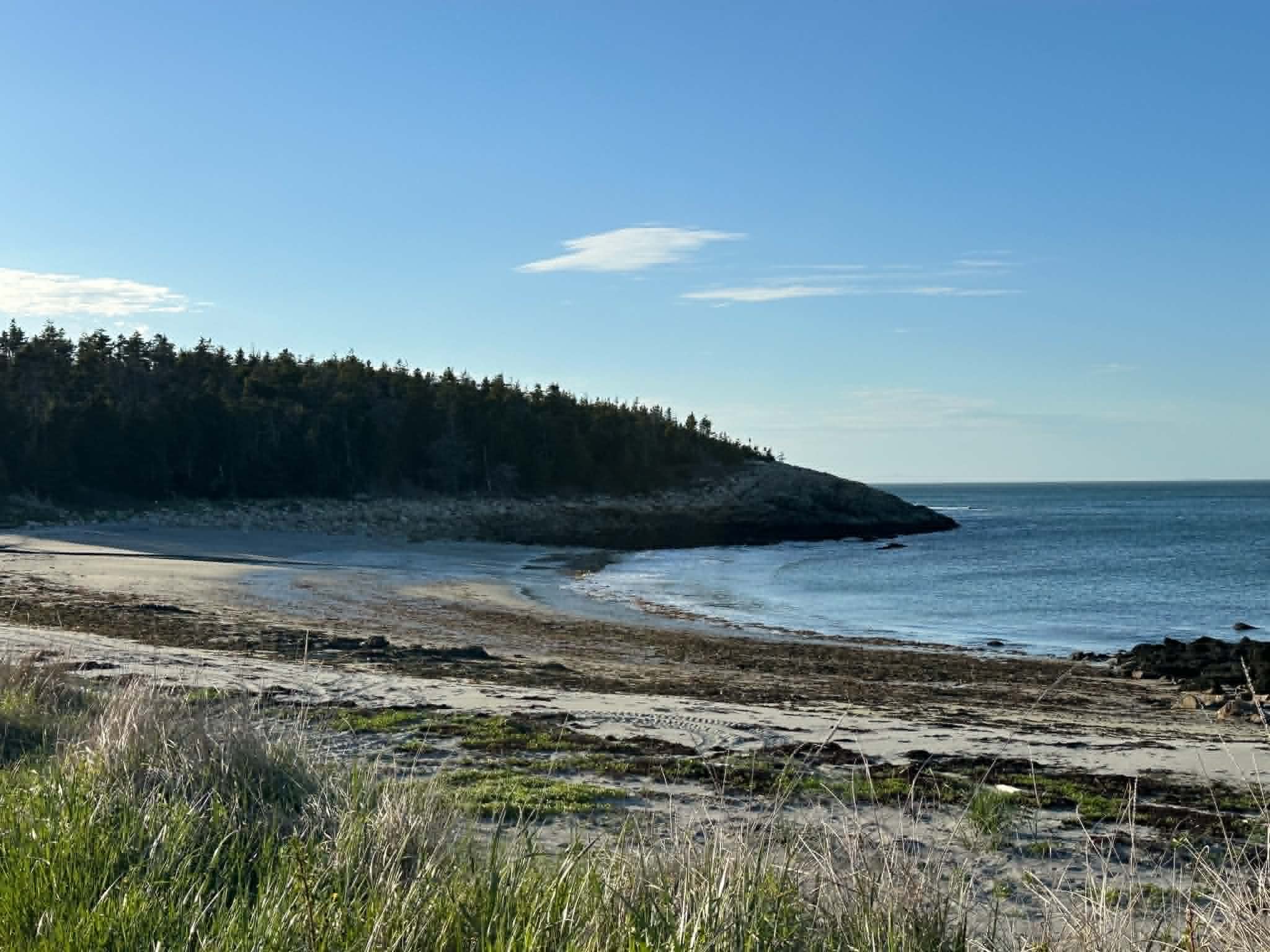 A coastal scene with a sandy beach, ocean waves, a forested hillside, and a partly cloudy sky.