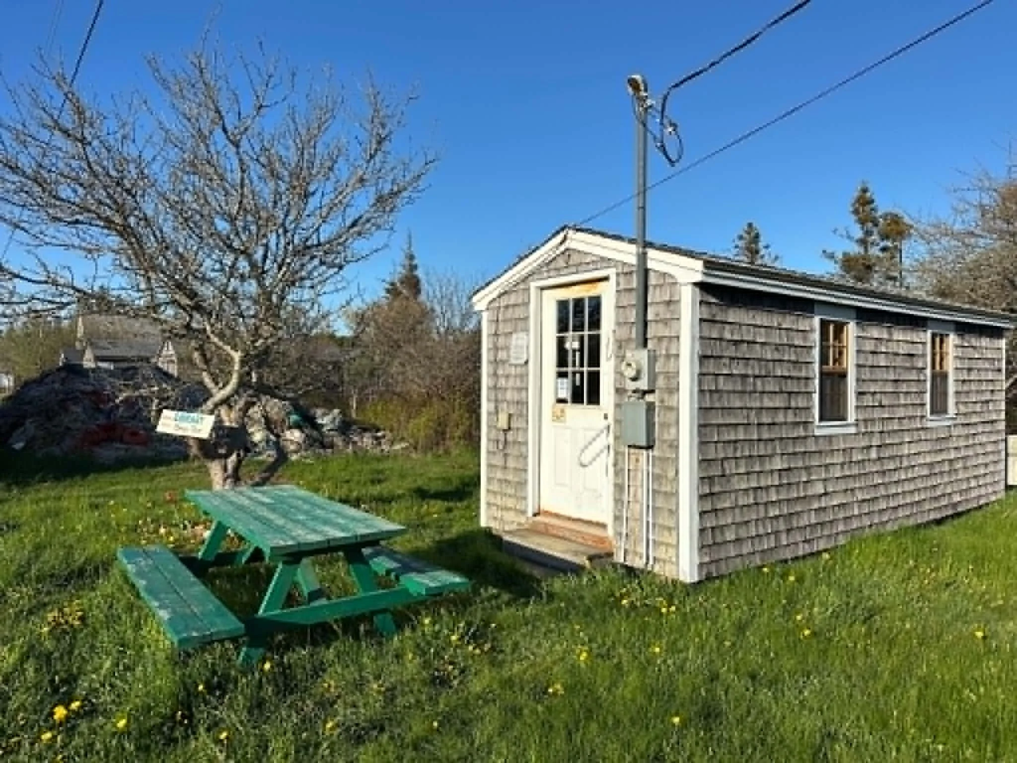 A small wooden shed with a window and door in a yard, with leafless trees and a clear blue sky in the background. A green picnic table is in the foreground on grass with small yellow flowers, and a pile of yard debris is on the left.