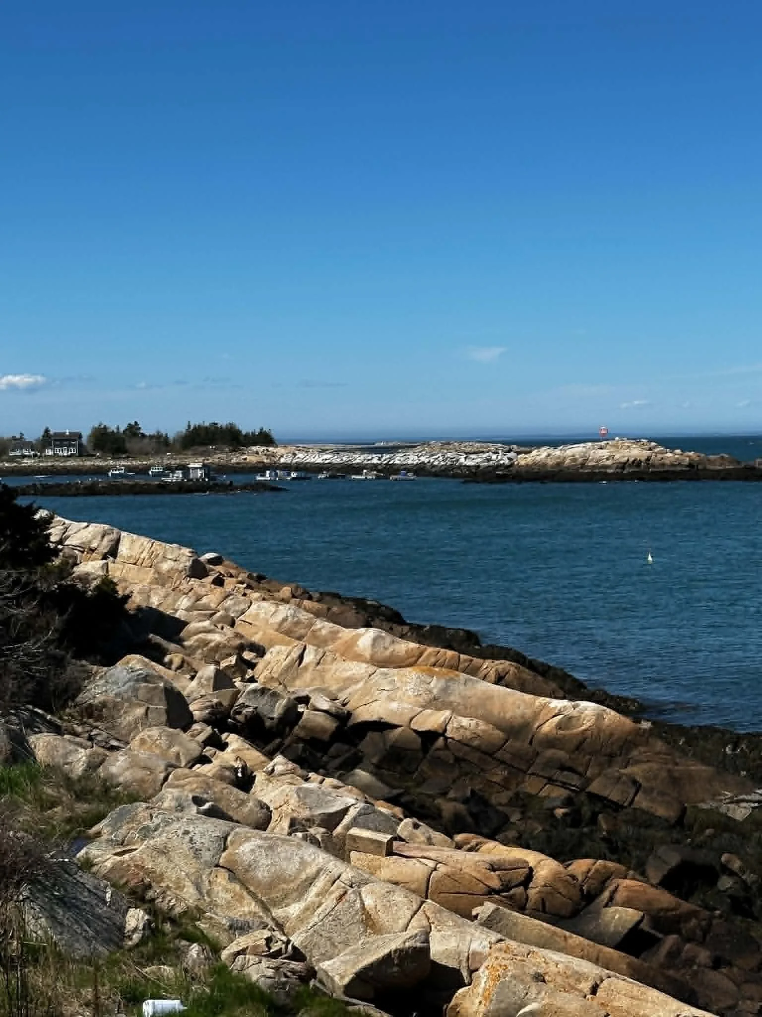 View of a rocky shoreline with a calm body of water in the foreground and buildings and trees in the distance under a clear blue sky.