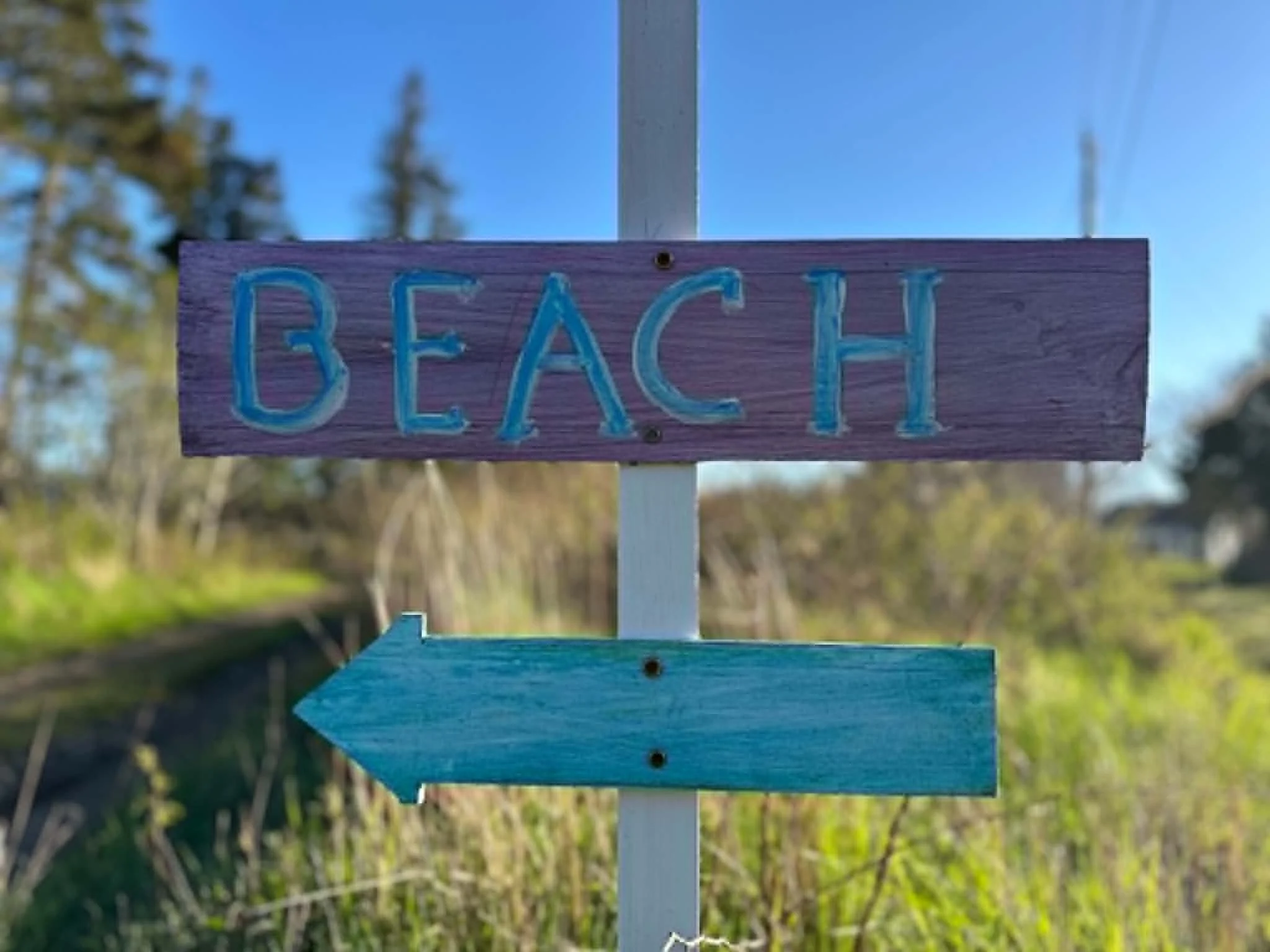 Colorful wooden signs with the word 'BEACH' written on the top sign, and a blue arrow pointing left below, outdoors with trees and blue sky in the background.