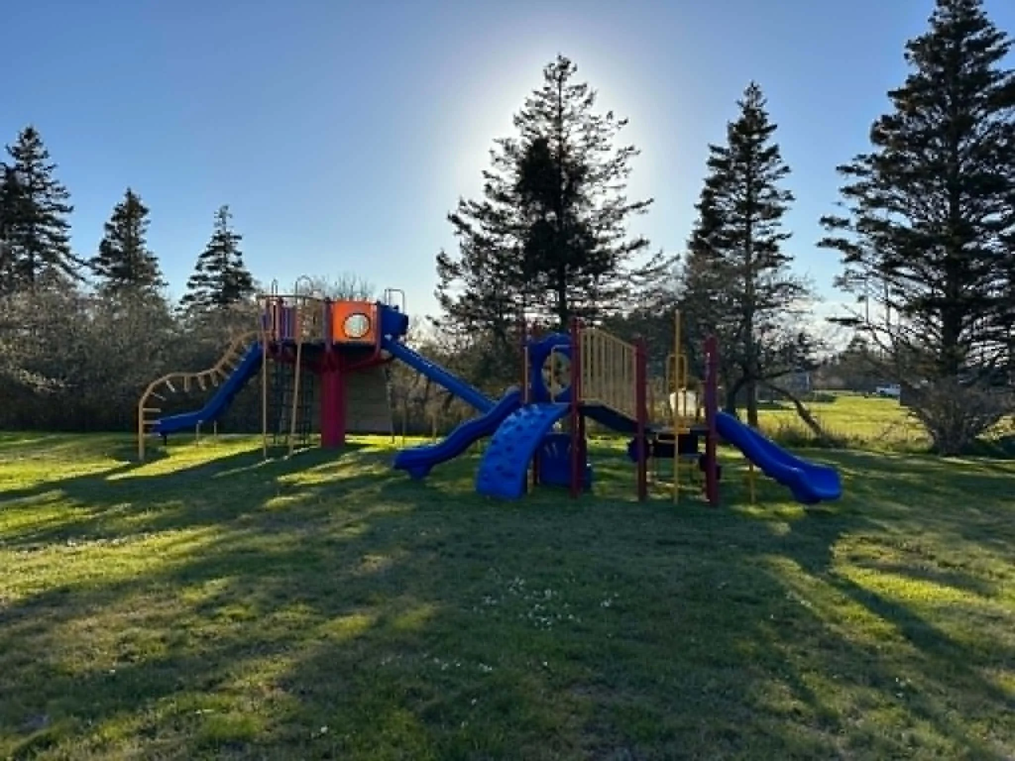 A colorful playground with slides and climbing structures in a park, surrounded by tall pine trees and a clear blue sky with the sun shining behind a tree.