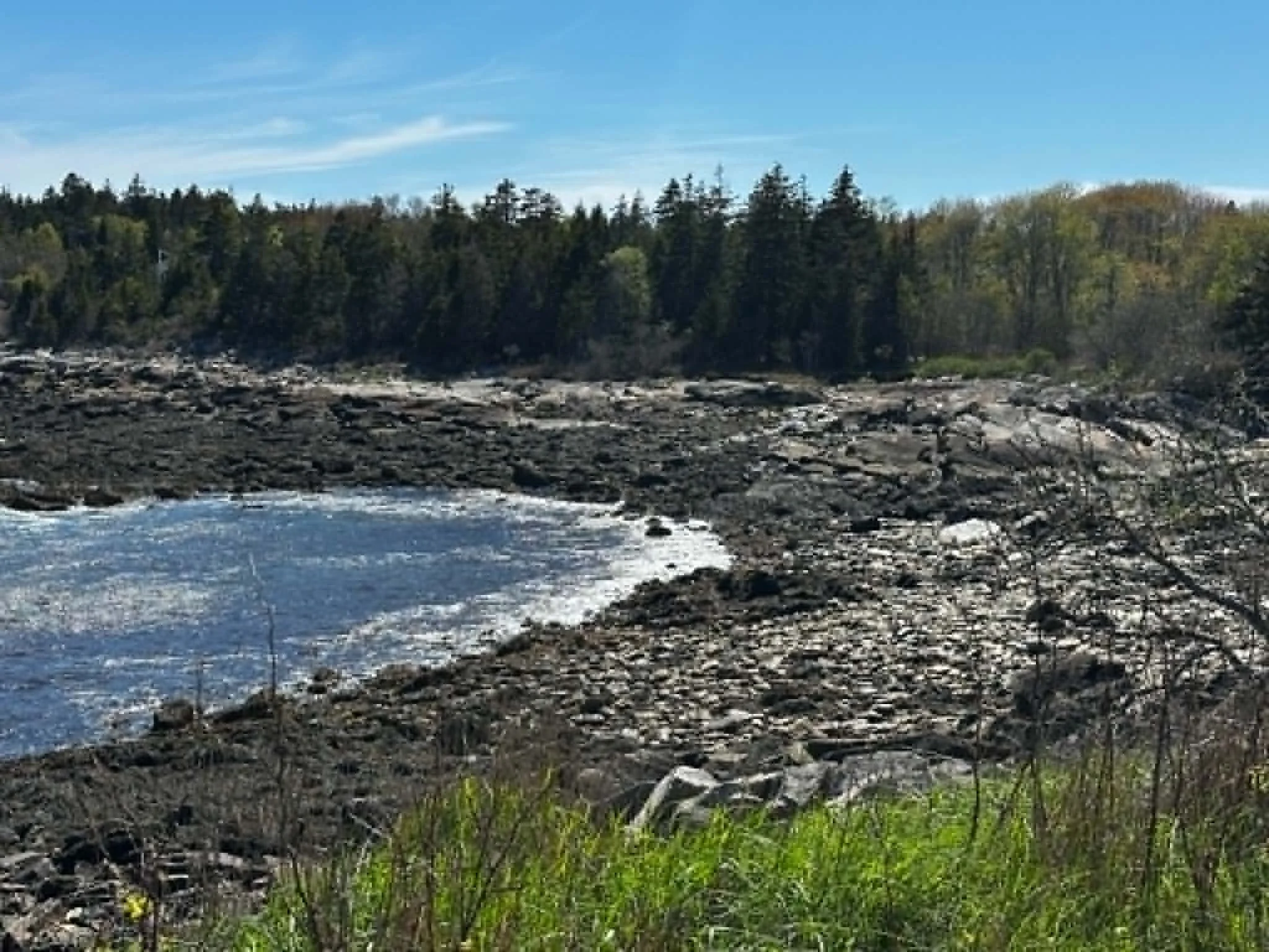 Coastal scene with rocky shoreline, water, a forested hillside, and a blue sky with some clouds.