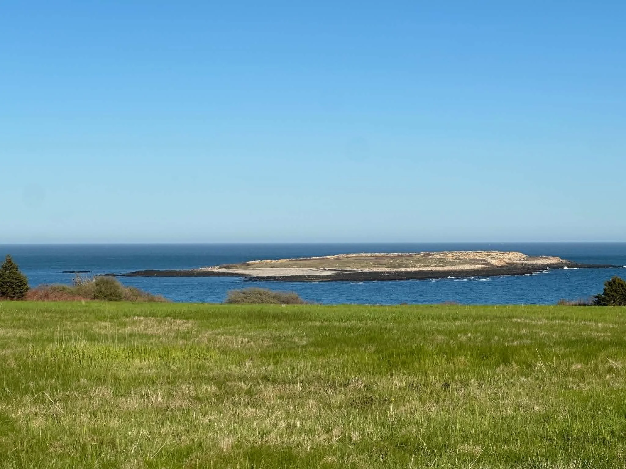 A wide view of a coastal landscape with a grassy foreground, calm blue ocean water, and a clear blue sky.