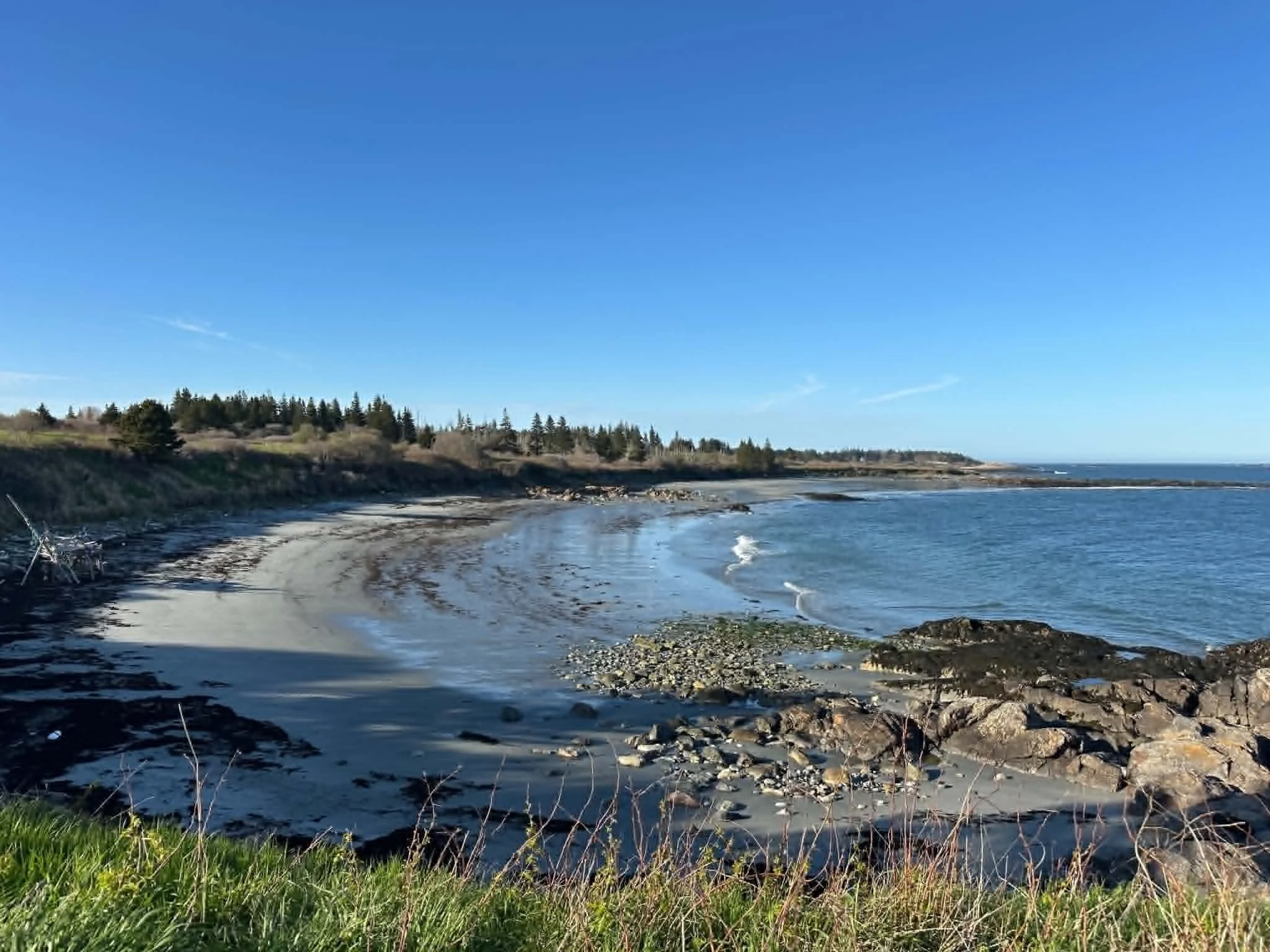 A coastal scene with a sandy and rocky shoreline, calm water, and a backdrop of trees and hills under a clear blue sky.