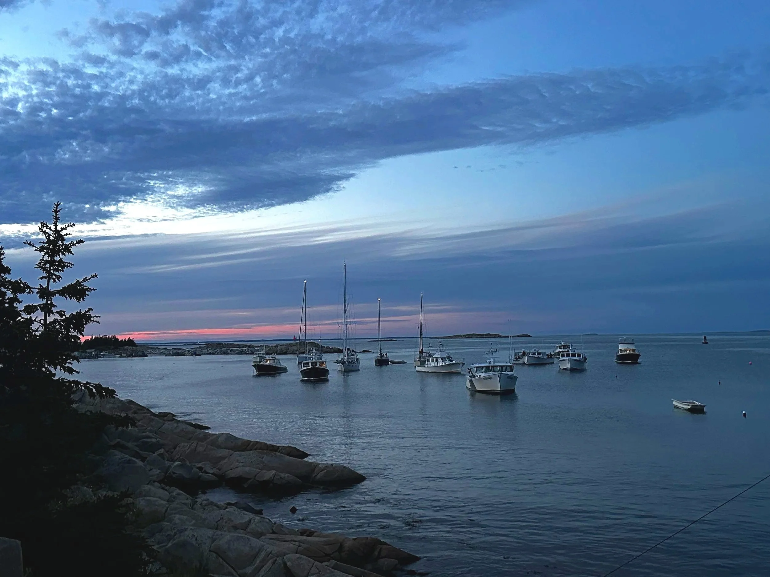 A harbor with several sailboats and yachts anchored on a calm body of water during sunset, with a cloudy sky and a distant shoreline.