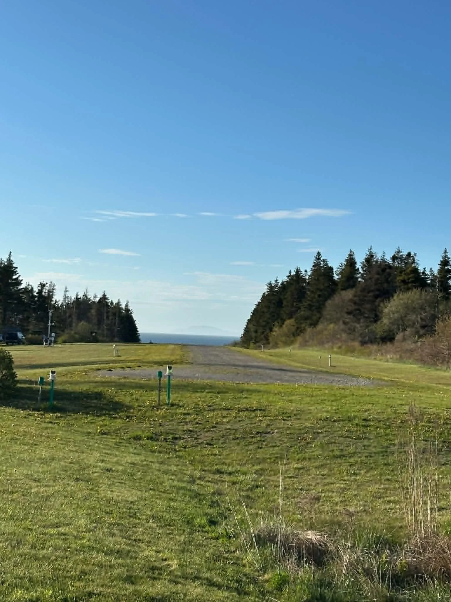 A dirt road through a grassy field flanked by trees on both sides under a bright blue sky with scattered clouds.