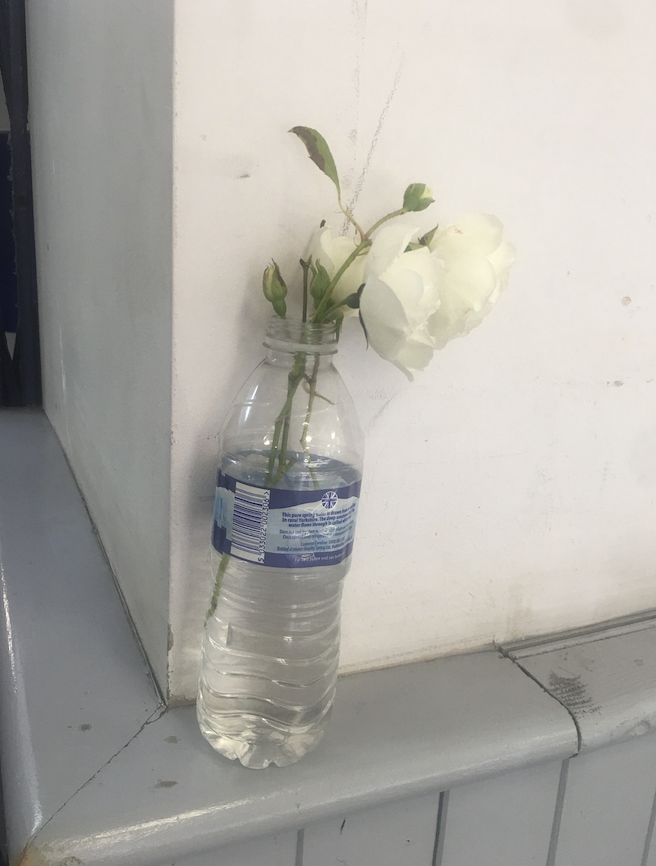 Rose in plastic.png