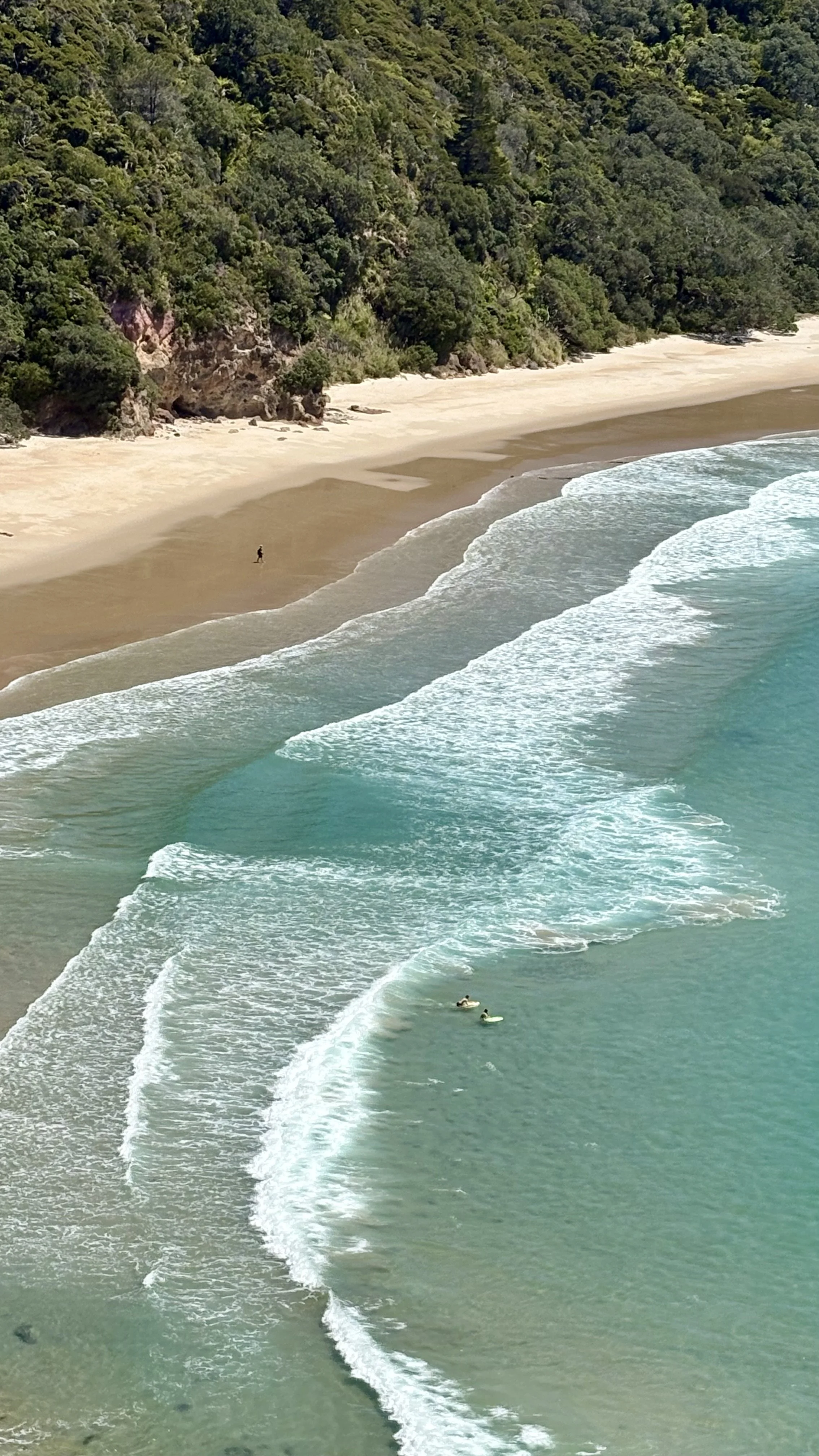 Image in New Zealand of a lone figure walking down the beach with forested cliffs in background