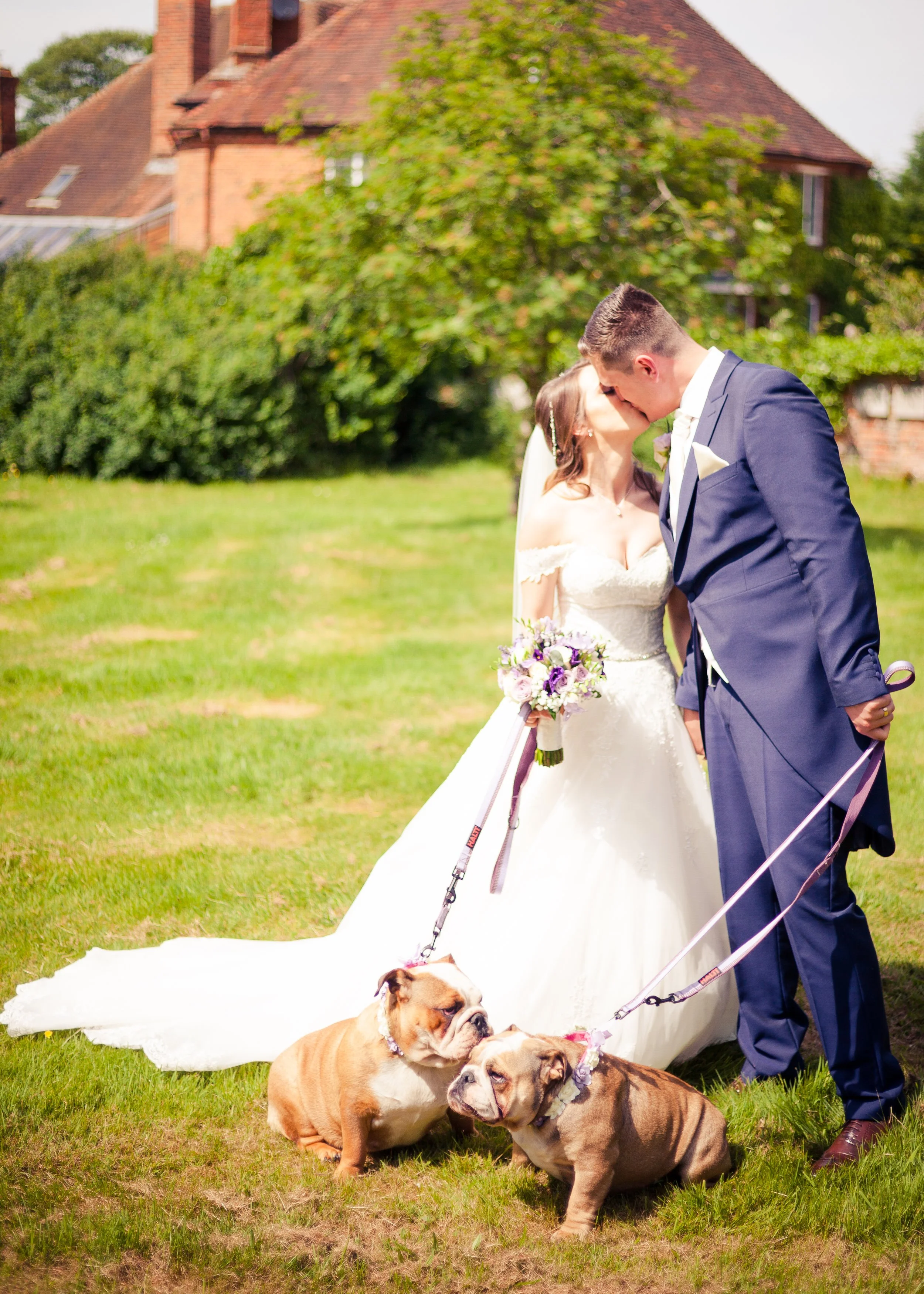 A newlywed couple kissing outdoors on a grassy lawn with three bulldog puppies at their feet, in front of a brick house and green trees.