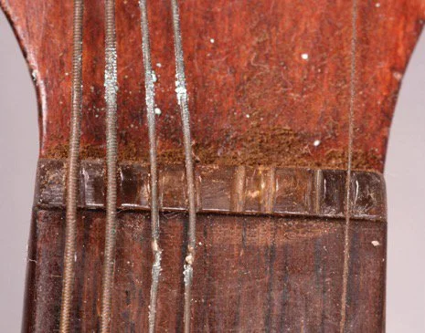 bile06.jpg