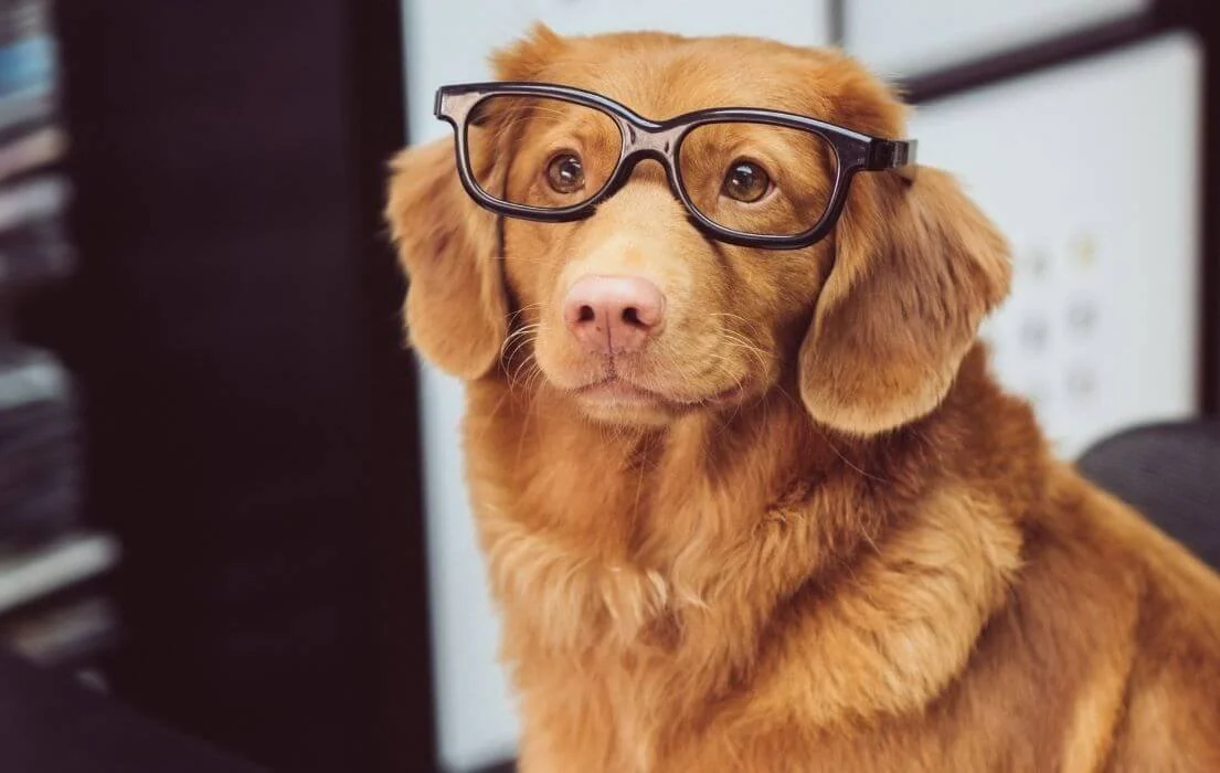 How to Become an Independent Learner