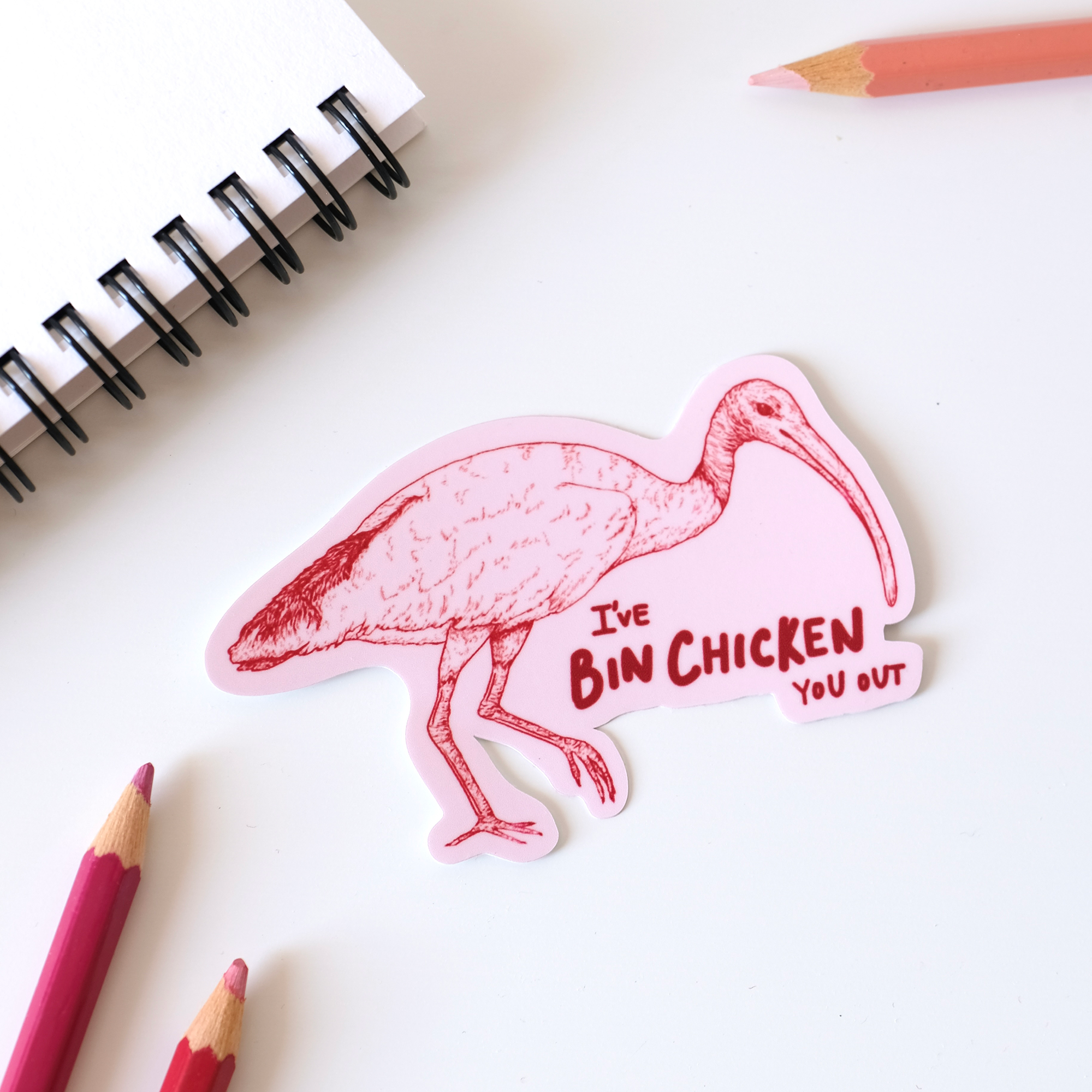 Bin Chicken 3.png