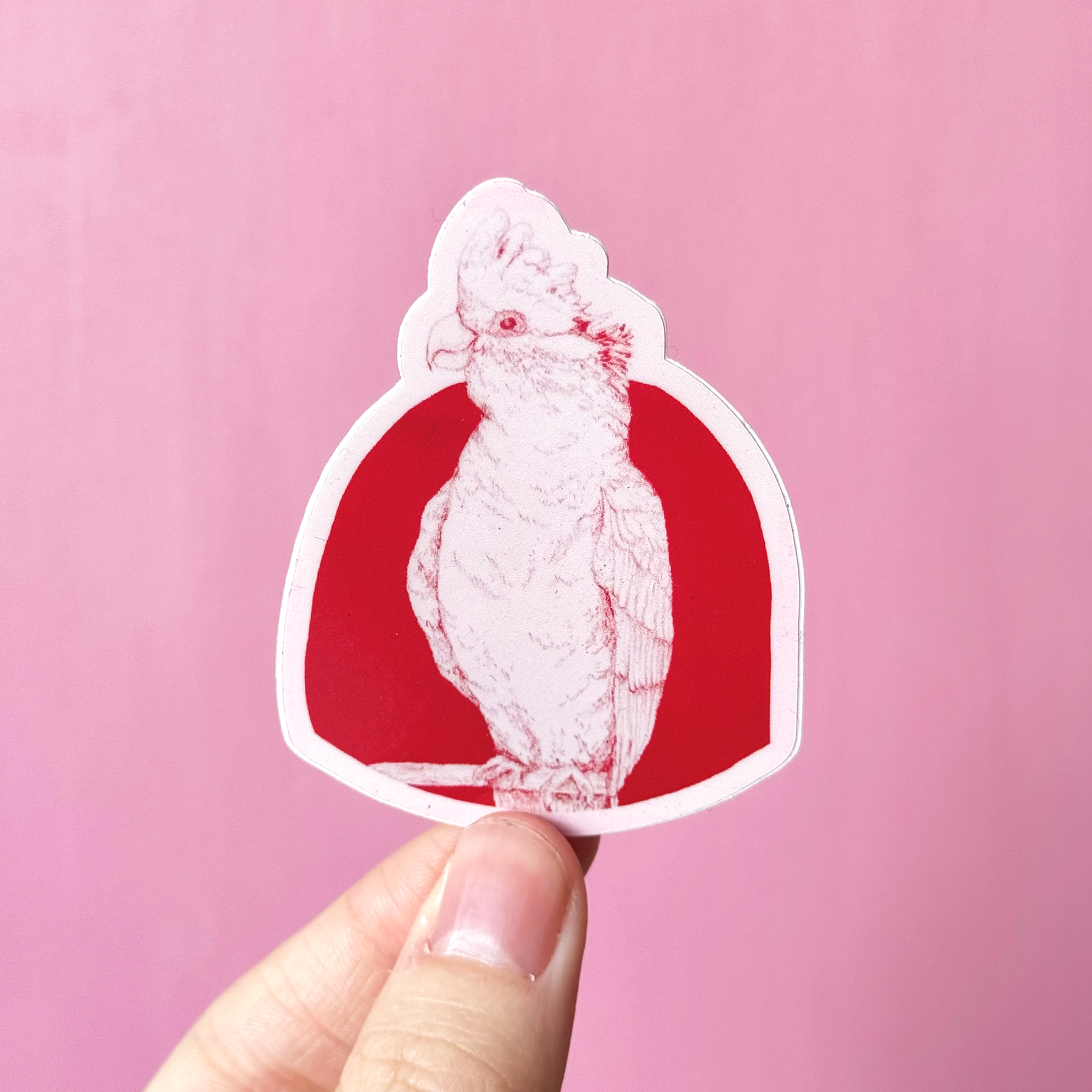 Galah%2B1.png