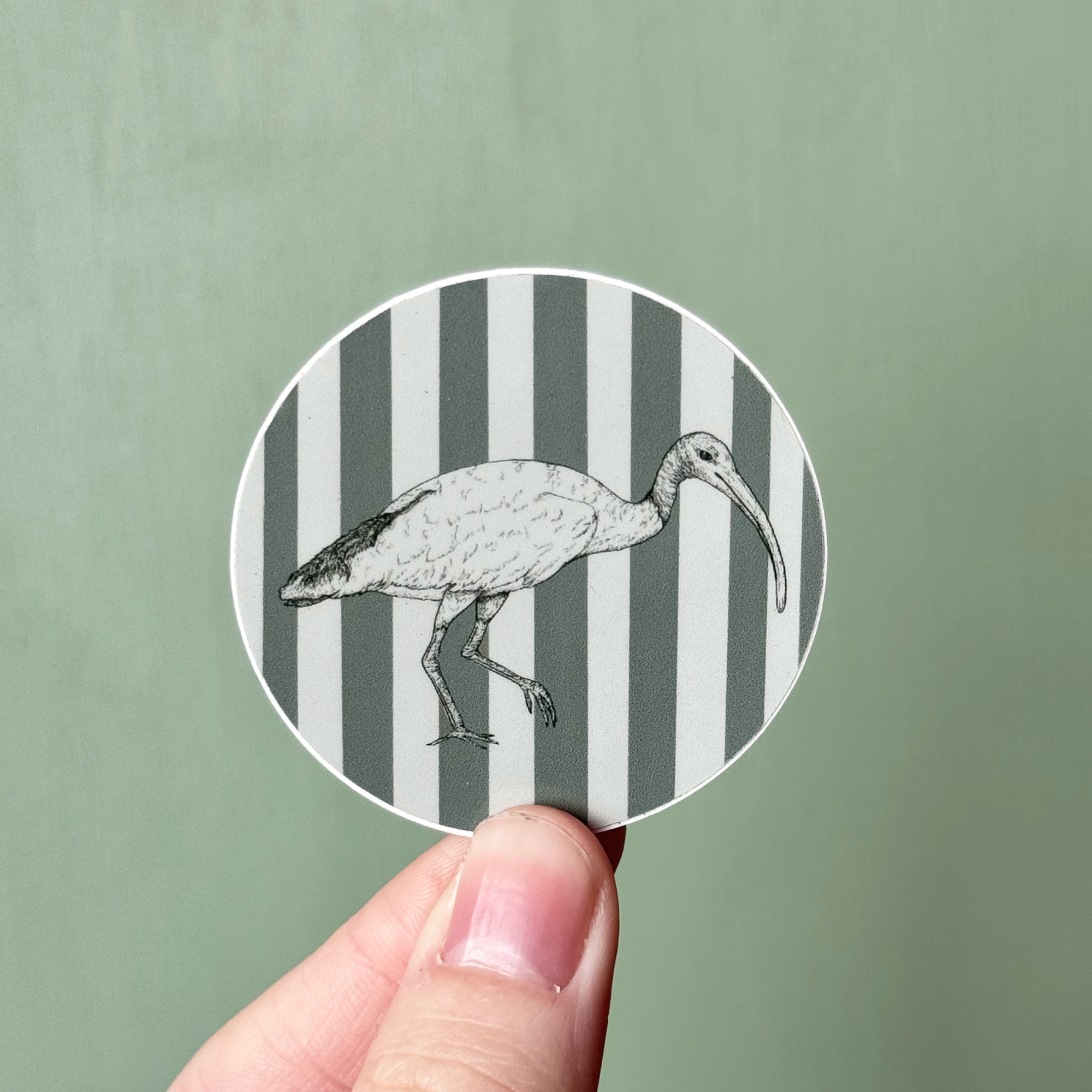Striped Ibis Sticker