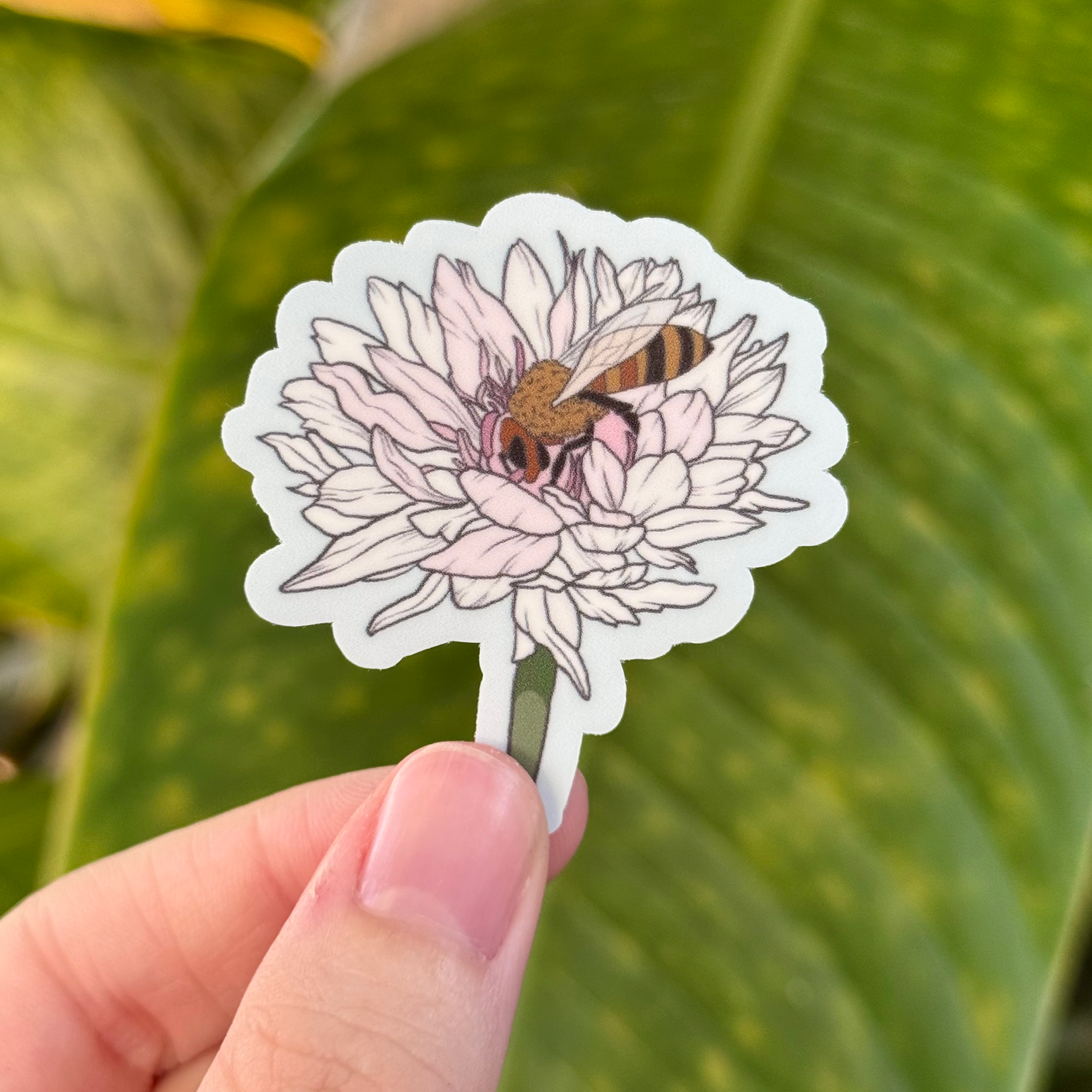 Garden Visitor 1.png