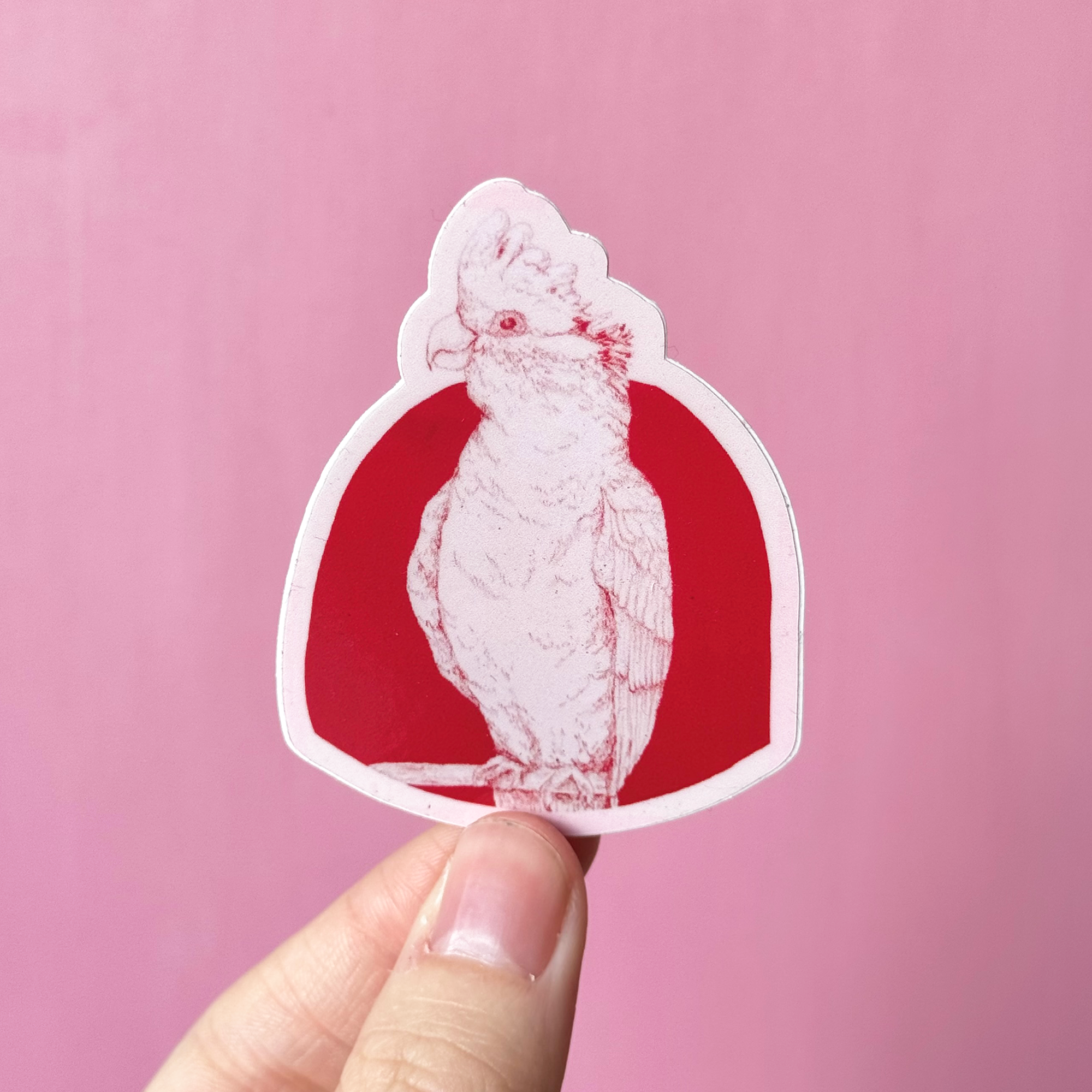 Pink Galah Sticker