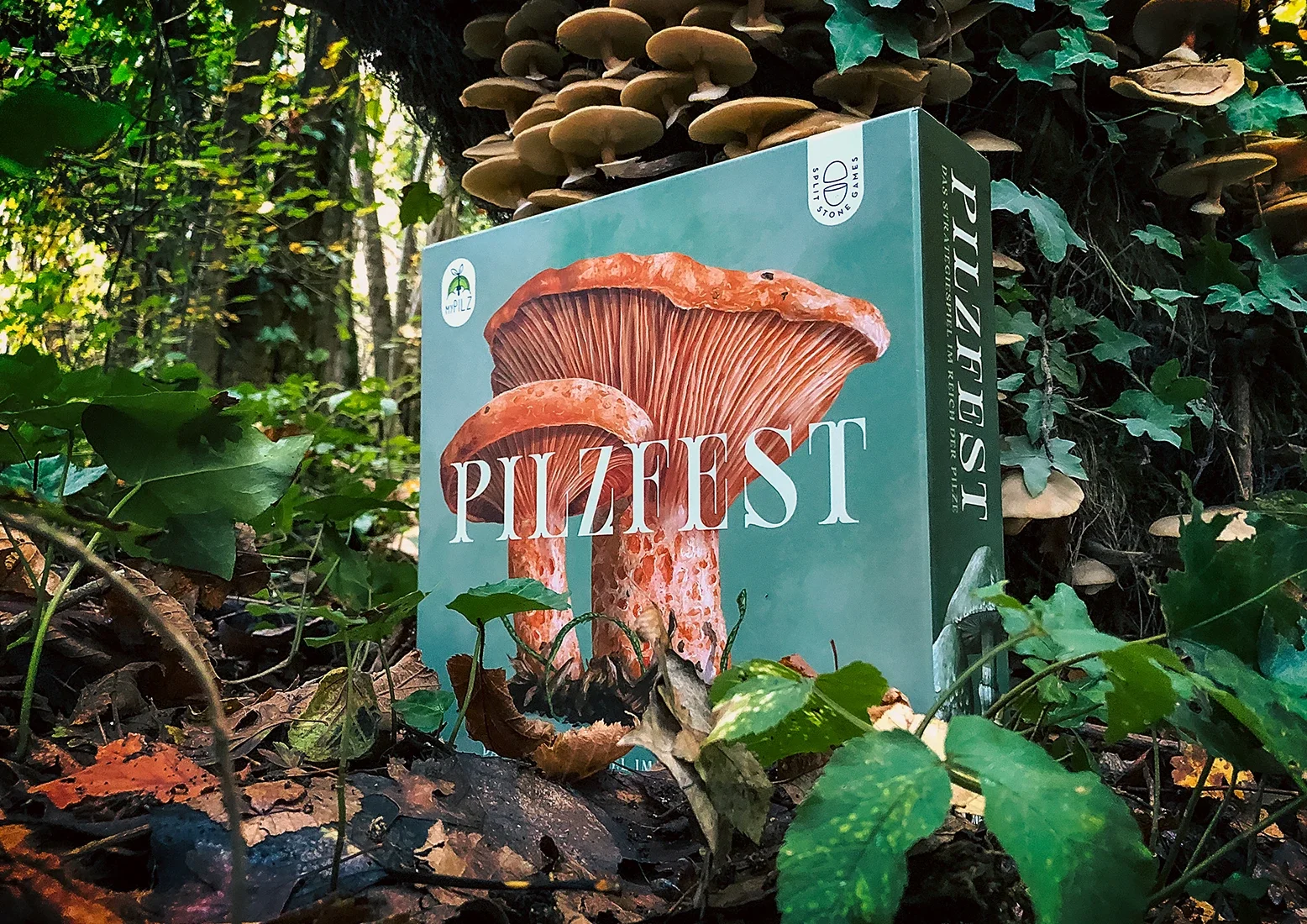 Pilzfest · Das Brettspiel