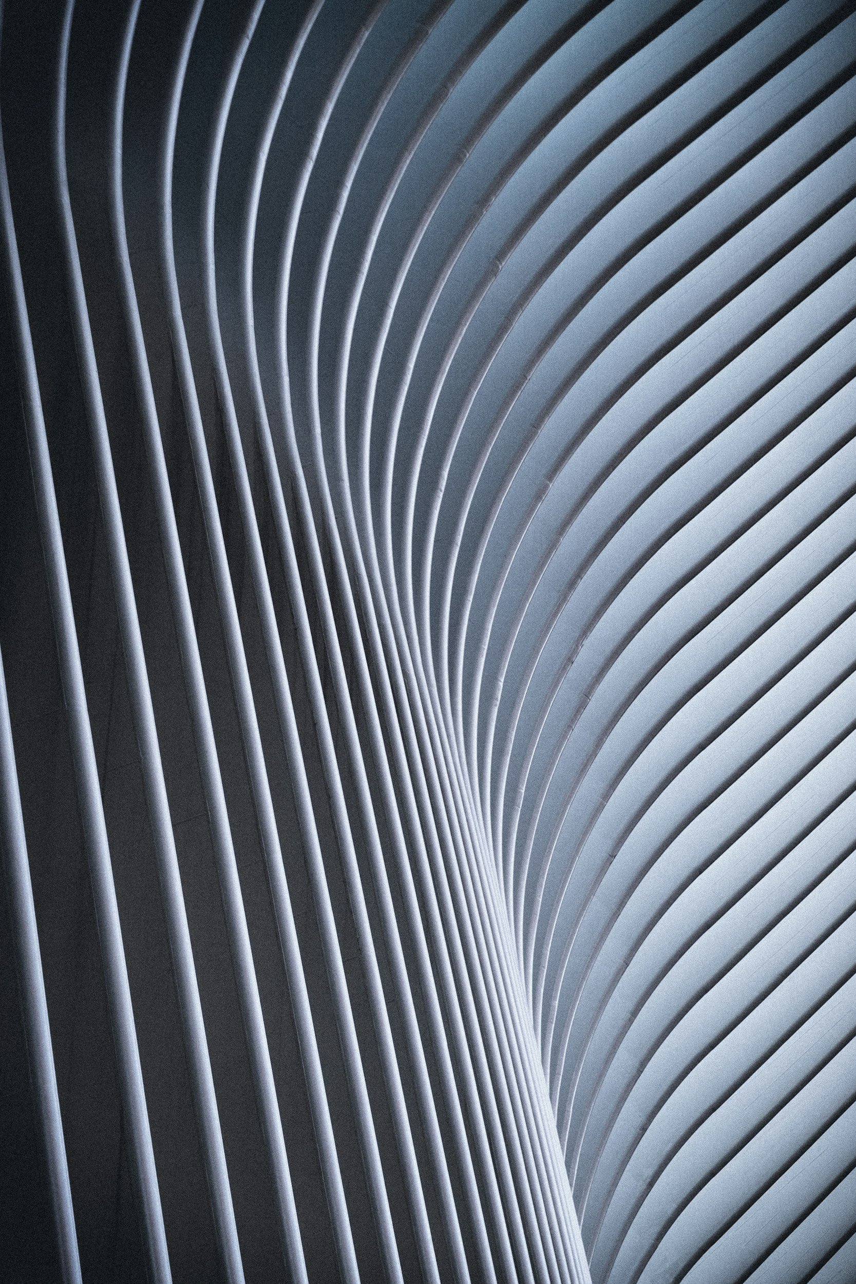 A close-up view of a modern architectural structure with curved, white metal beams arranged in a flowing, wave-like pattern.