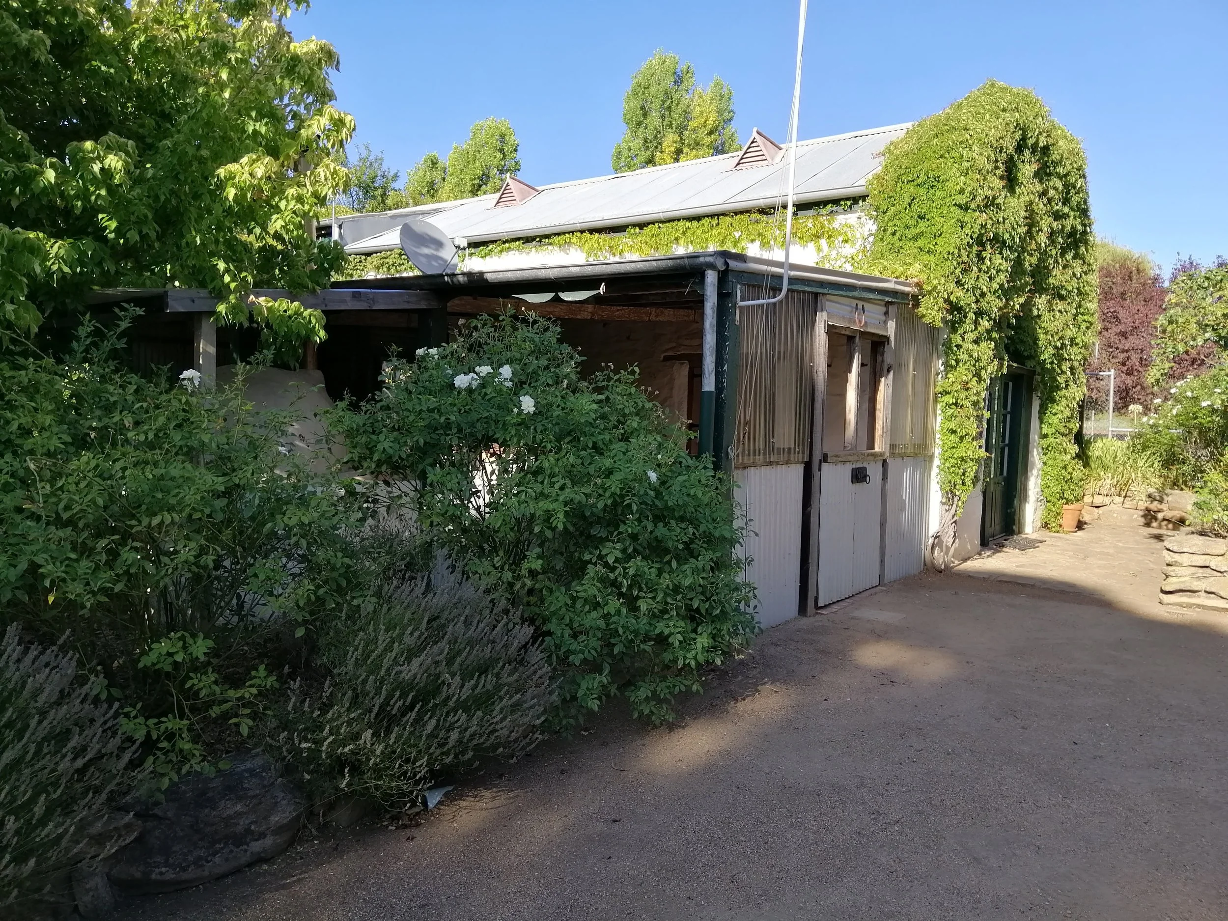 2019 The first year of Bodhipala Monastery
