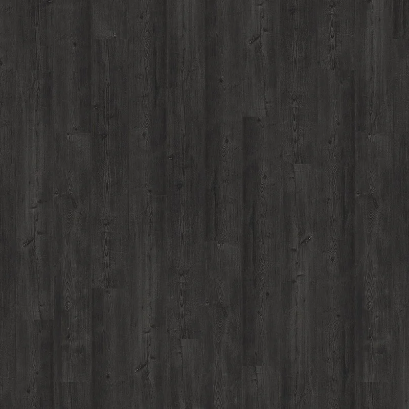 Black Ash.jpg