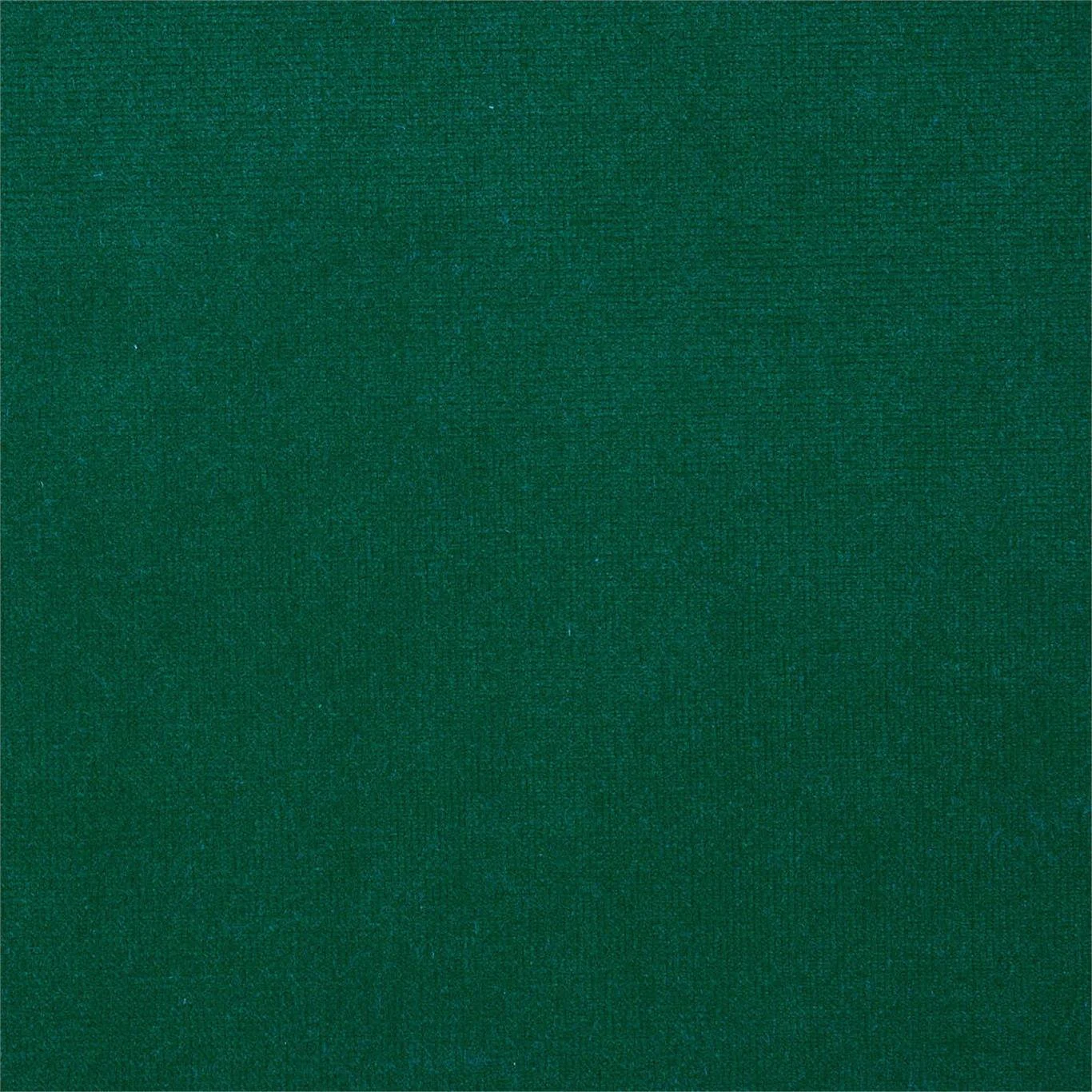 Close-up of a textured green fabric surface.