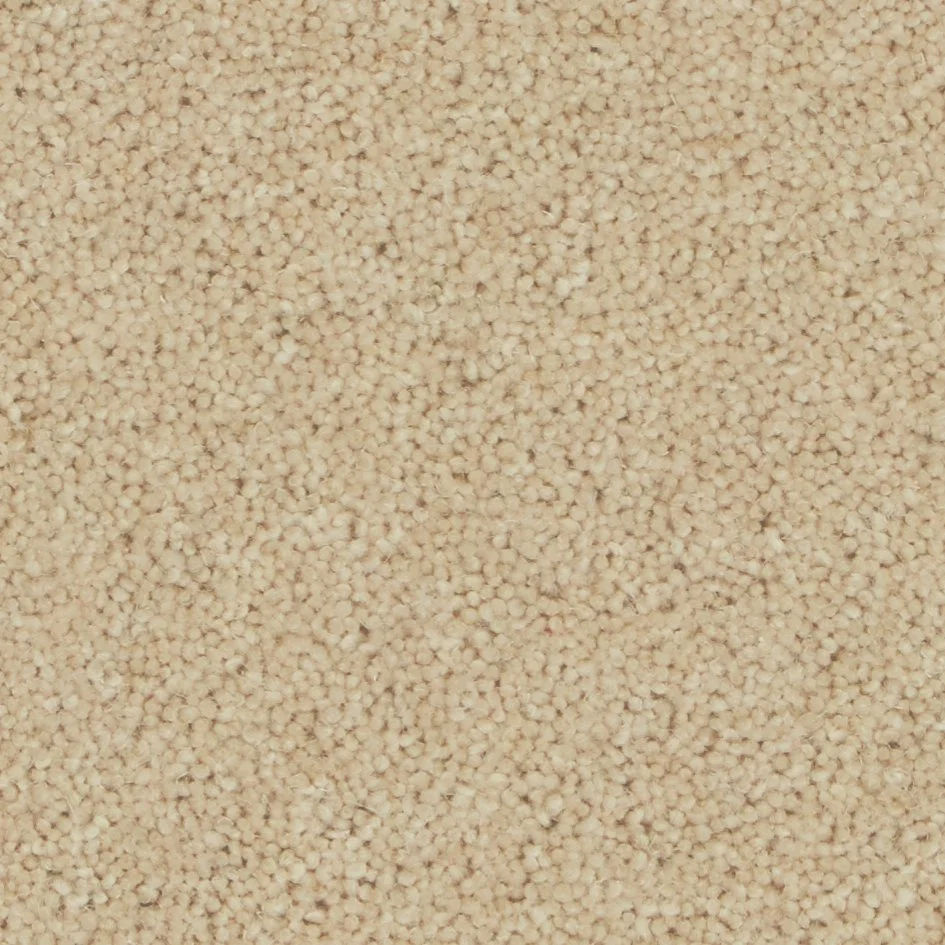 caraway.jpg